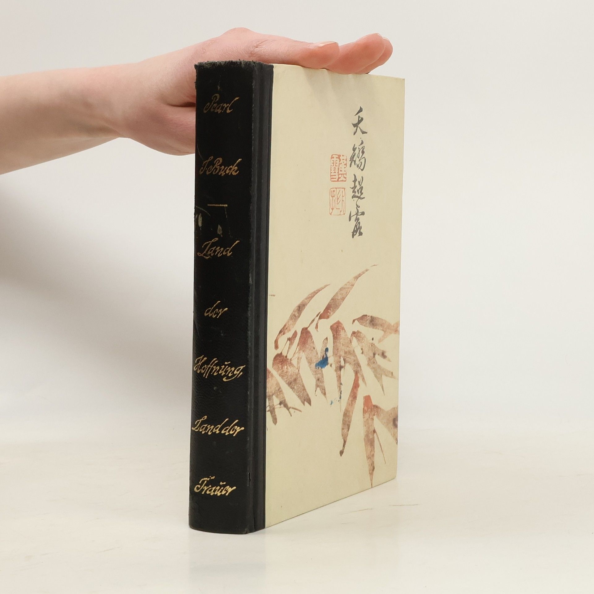 Pearl S. Buck Land der Hoffnung, Land der Trauer