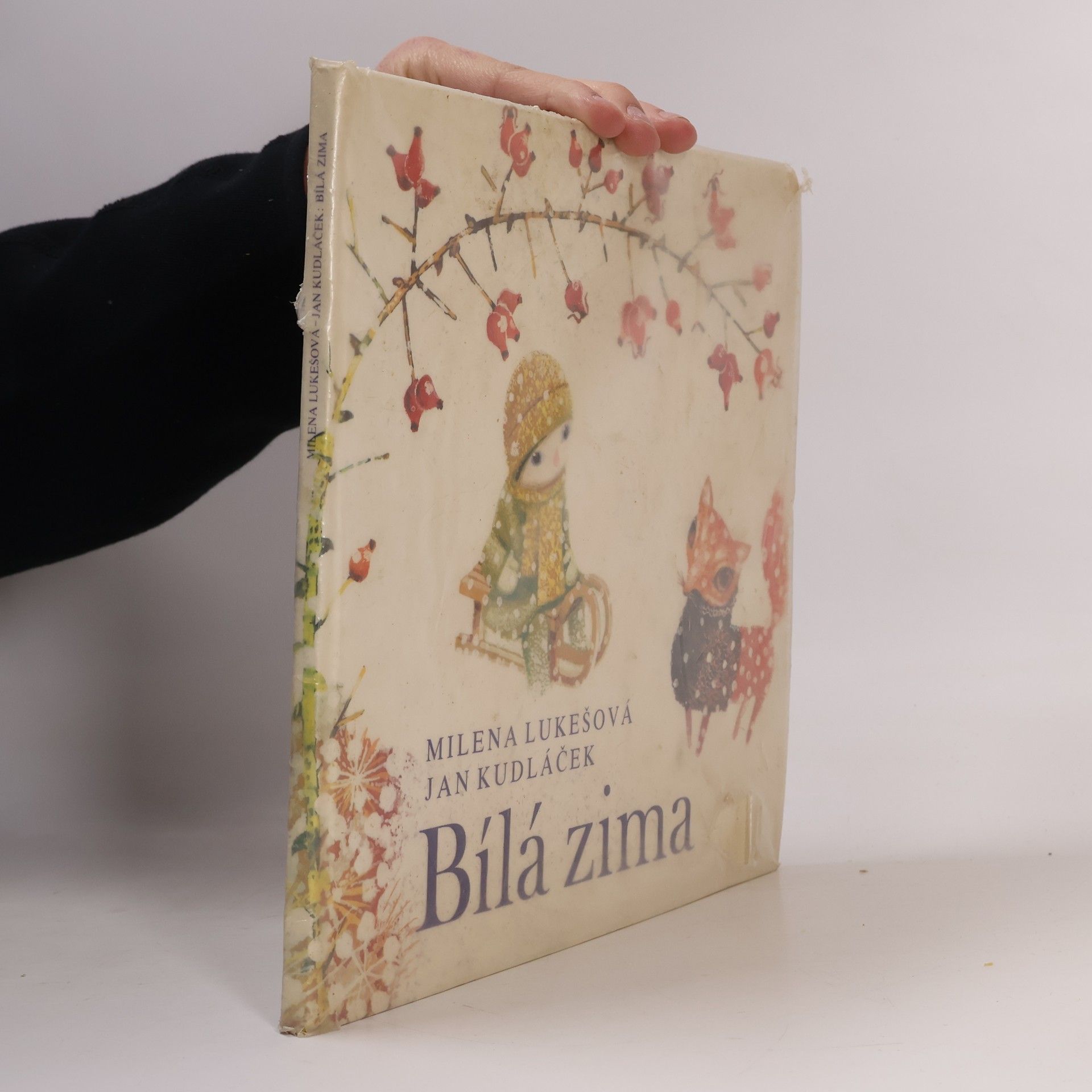 Milena Lukešová Bílá zima