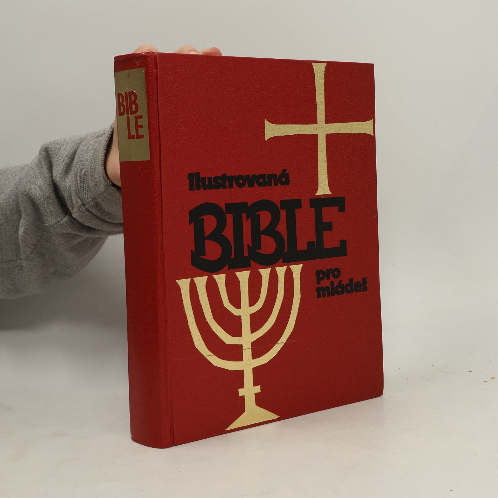 Kolektiv autorů Ilustrovaná Bible pro mládež