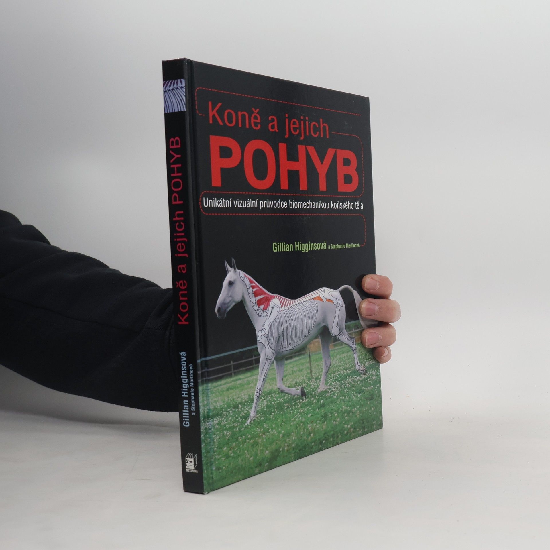 Stephanie Martin Koně a jejich pohyb
