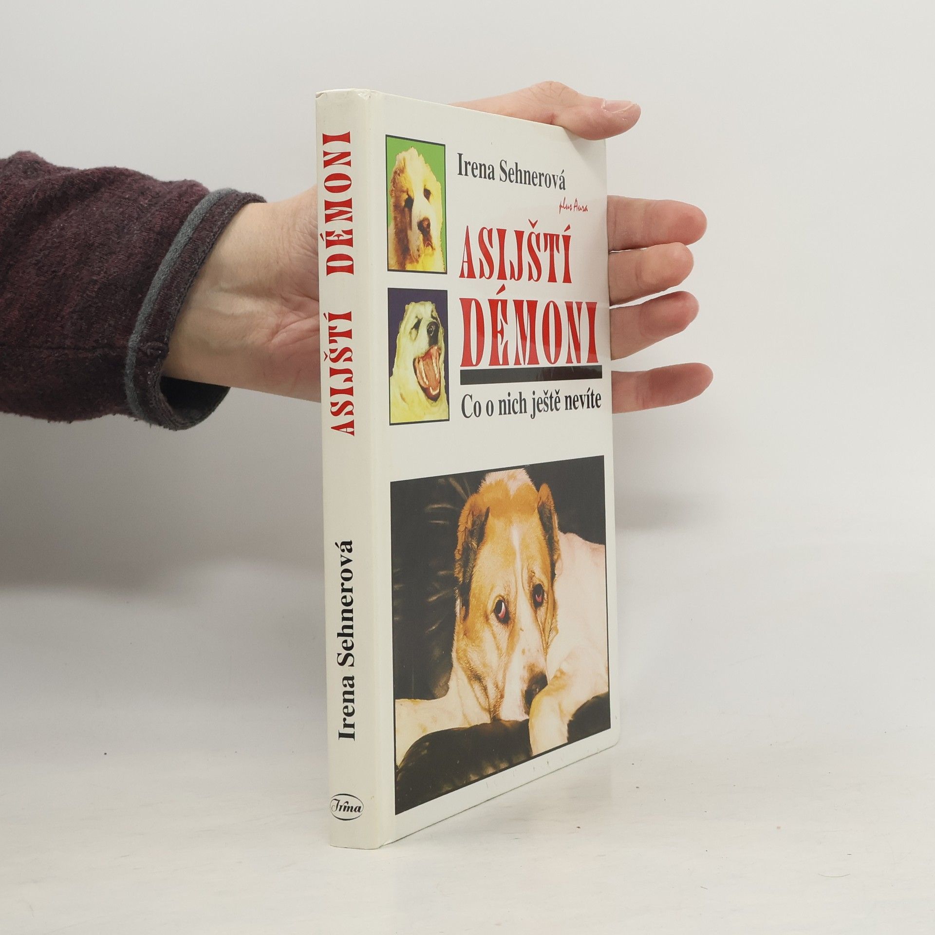 Irena Sehnerová Asijští démoni. Co o nich ještě nevíte