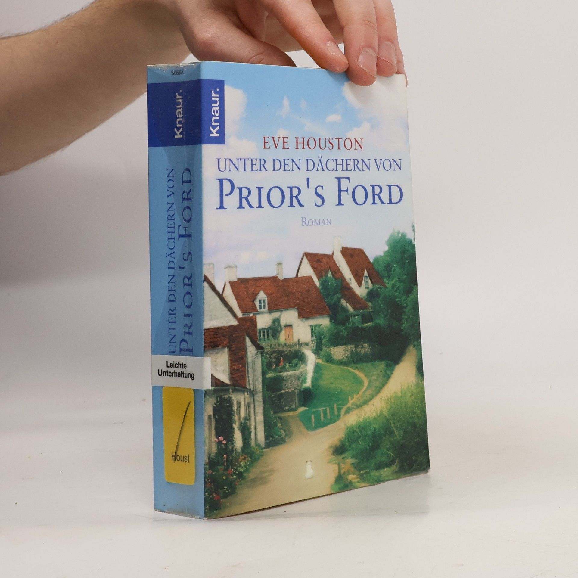 Eve Houston Unter den Dächern von Prior's Ford. Roman
