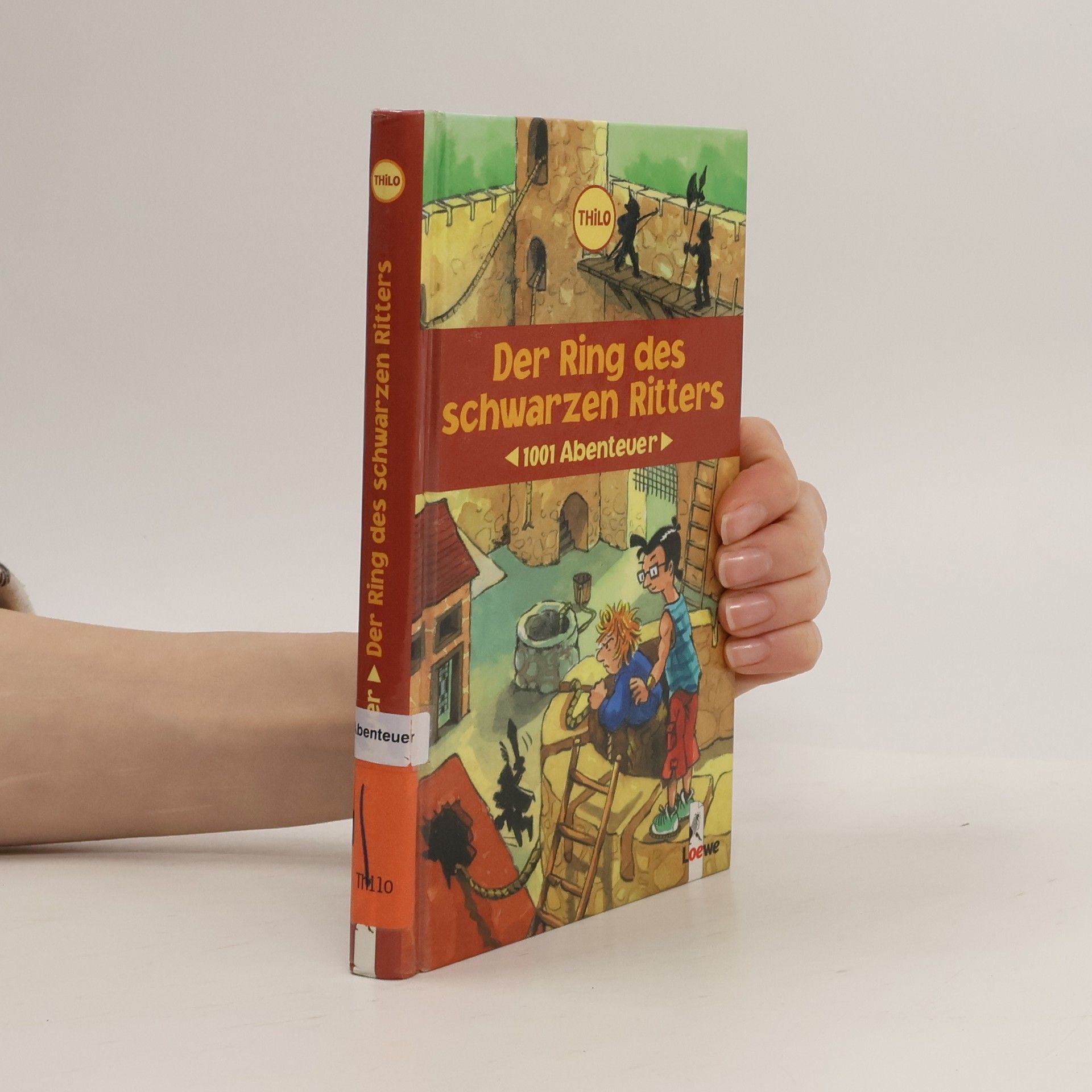 Thilo Petry-Lassak Der Ring des schwarzen Ritters