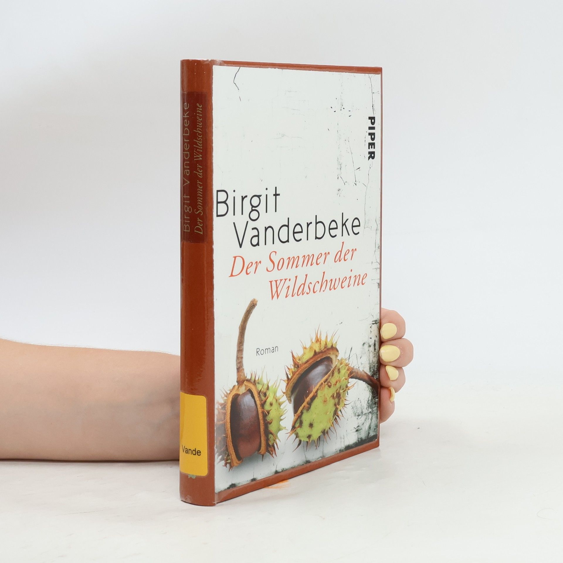 Birgit Vanderbeke Der Sommer der Wildschweine