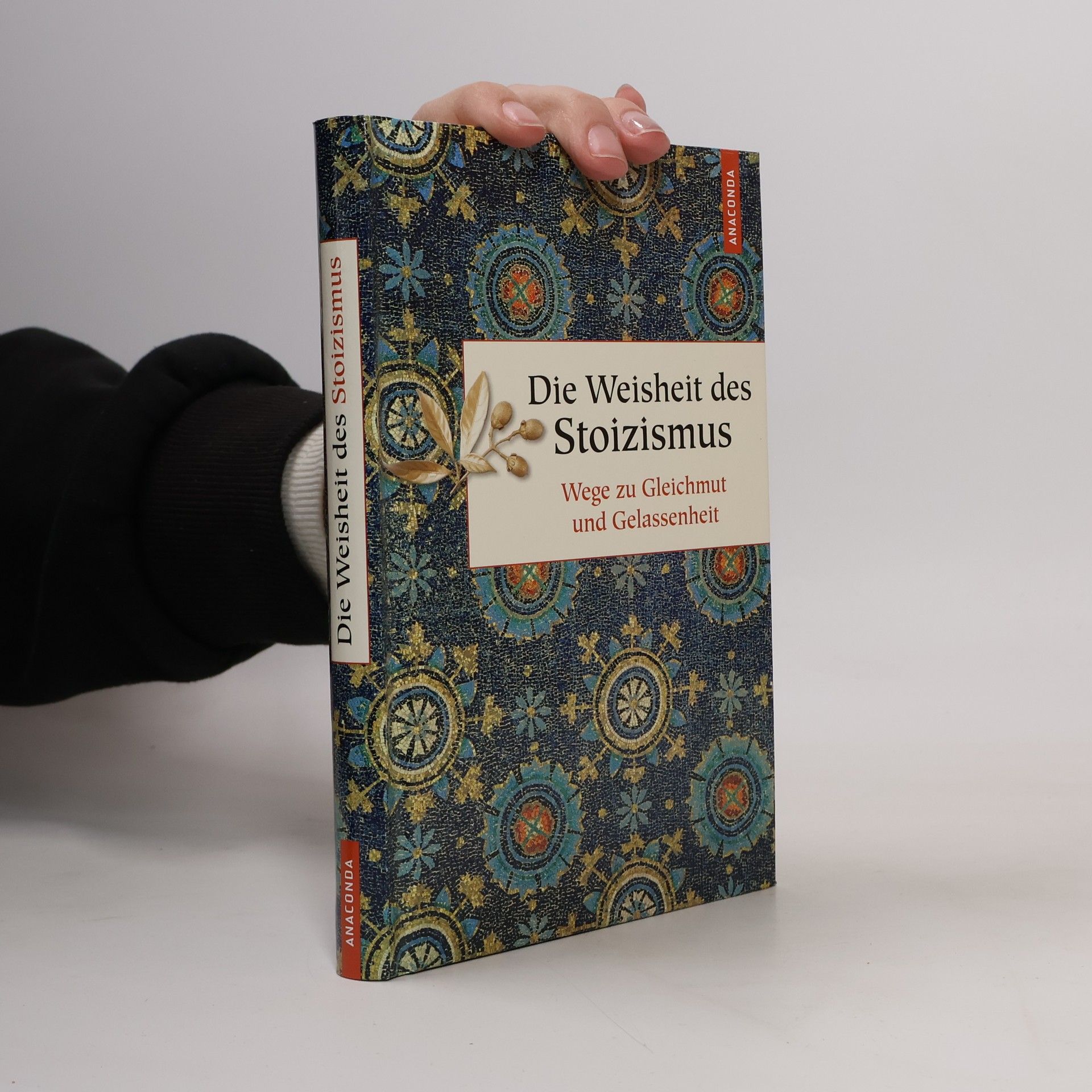 Erich Ackermann Die Weisheit des Stoizismus. Wege zu Gleichmut und Gelassenheit