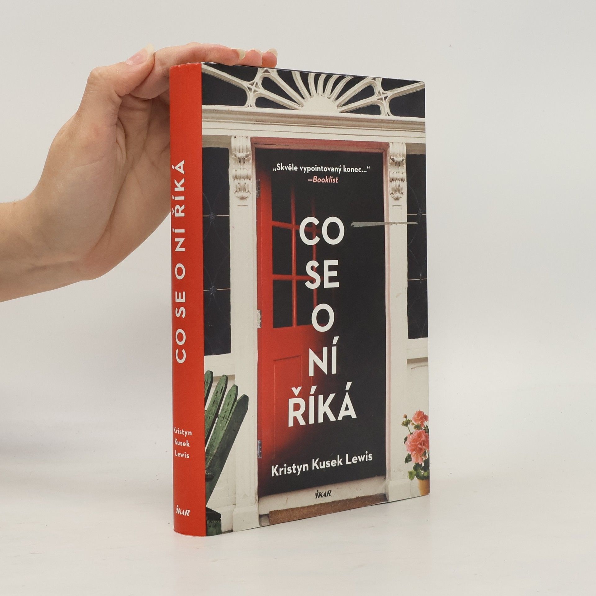 Kristyn Kusek Lewis Co se o ní říká