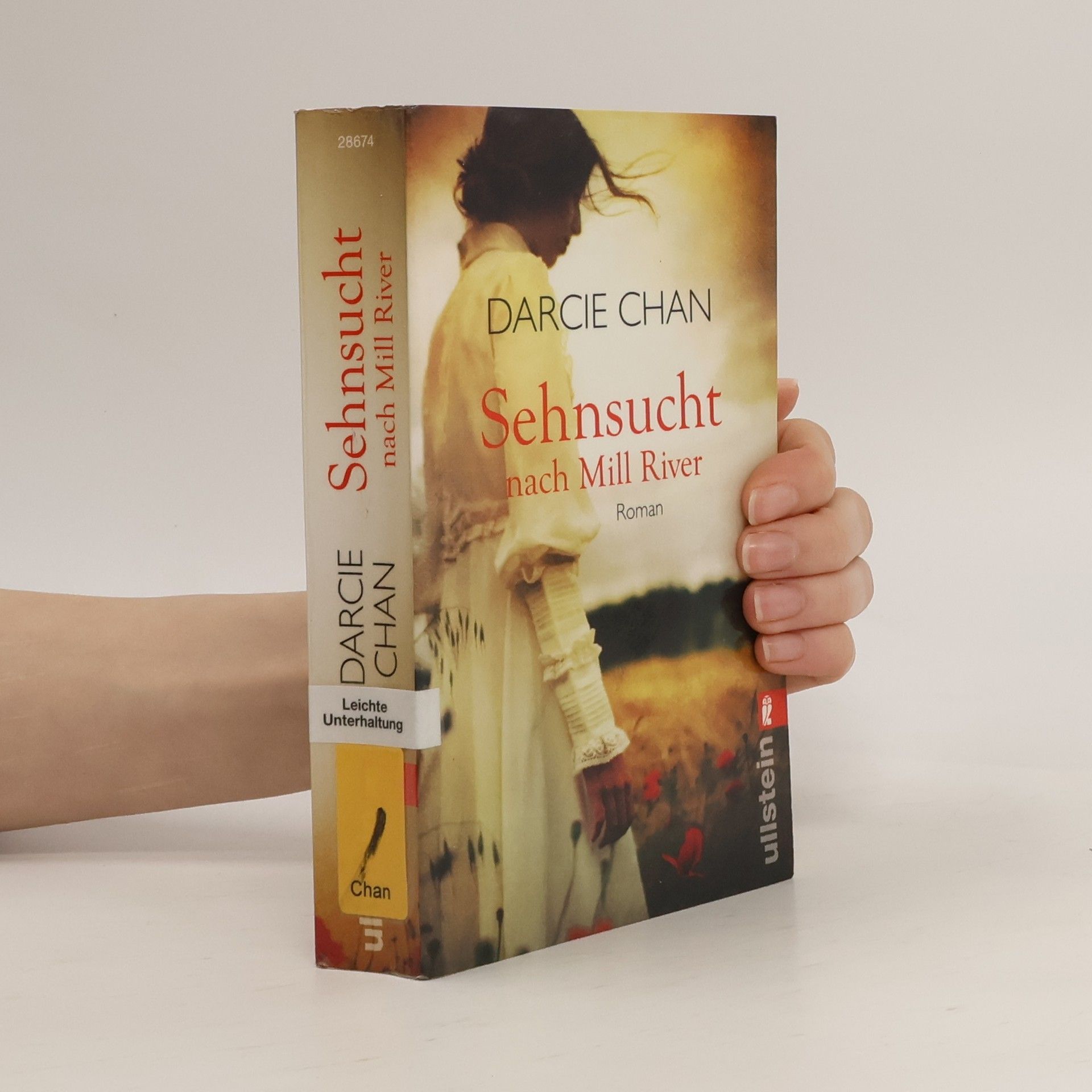 Darcie Chan Sehnsucht nach Mill River