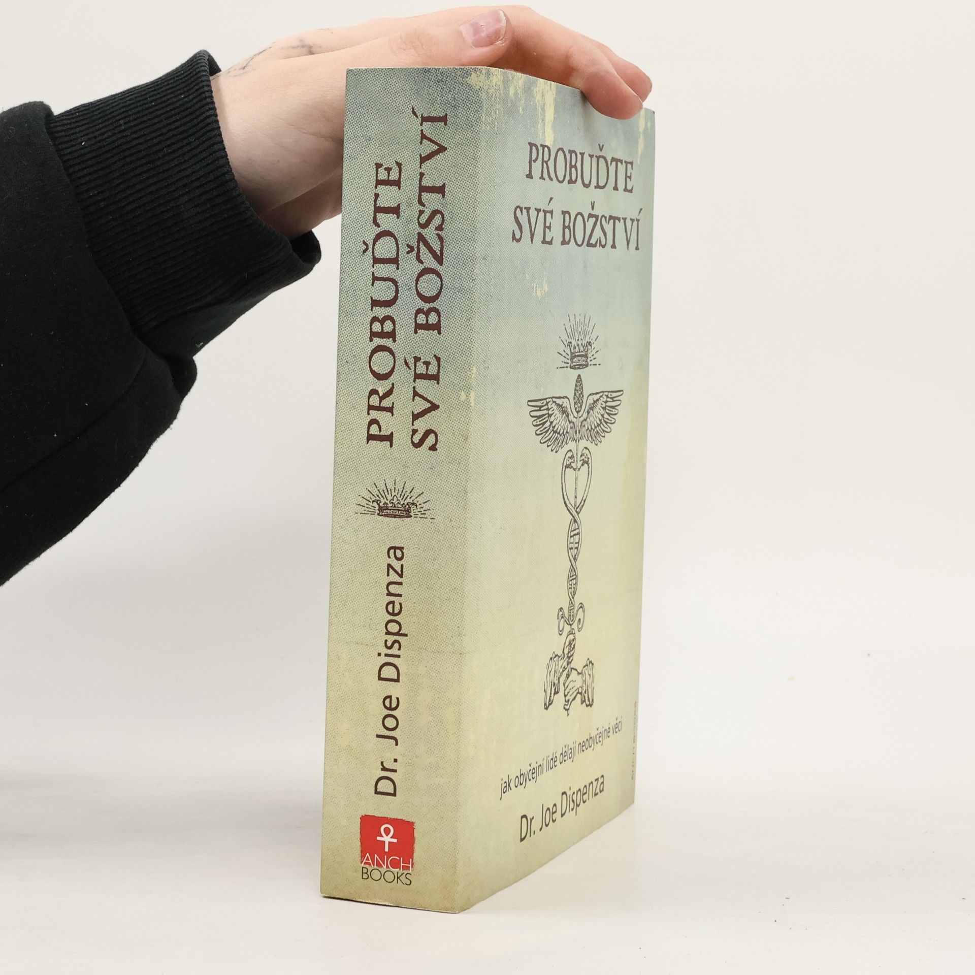 Probuďte své božství : jak obyčejní lidé dělají neobyčejné věci