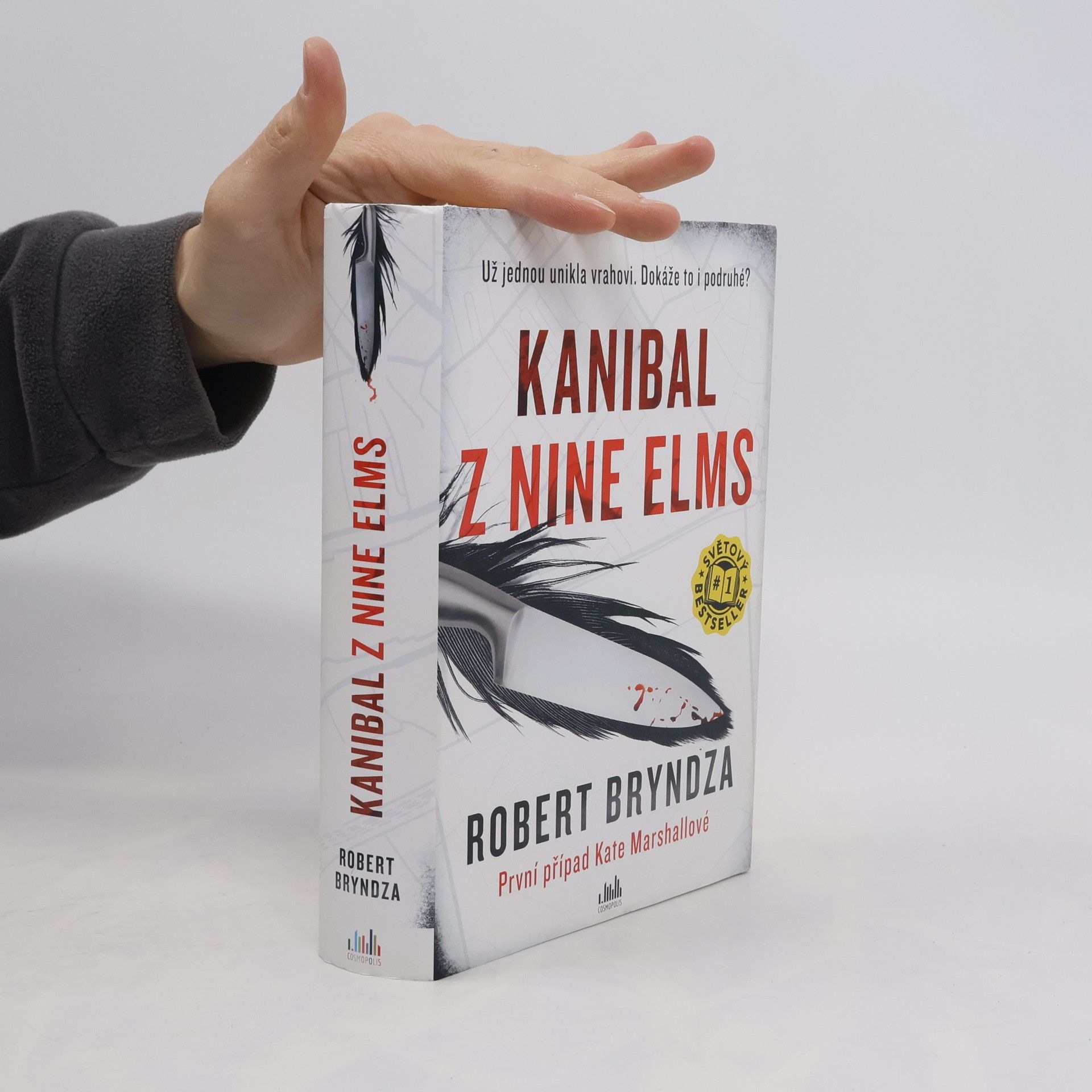 Robert Bryndza Kanibal z Nine Elms