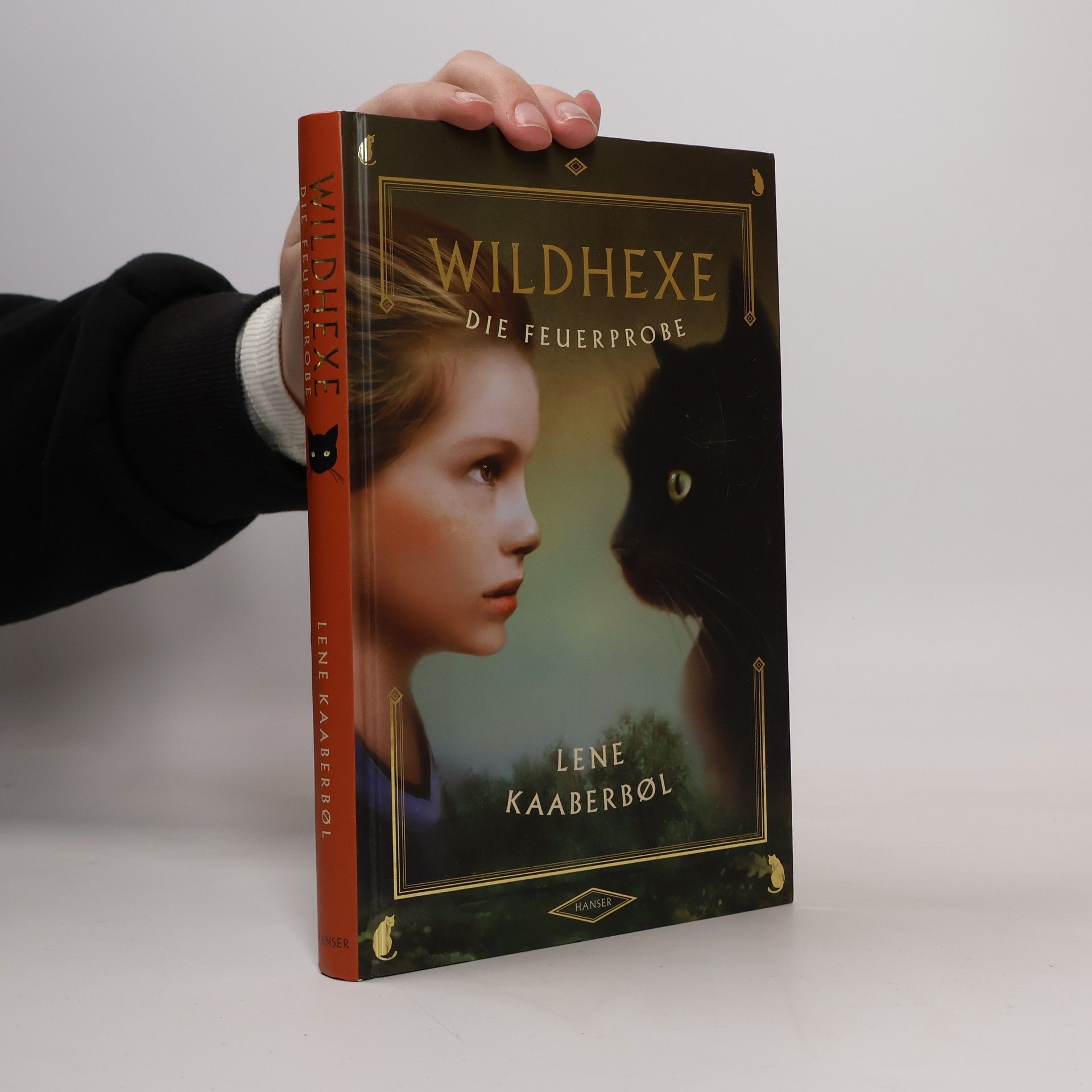 Lene Kaaberbøl Wildhexe die Feuerprobe