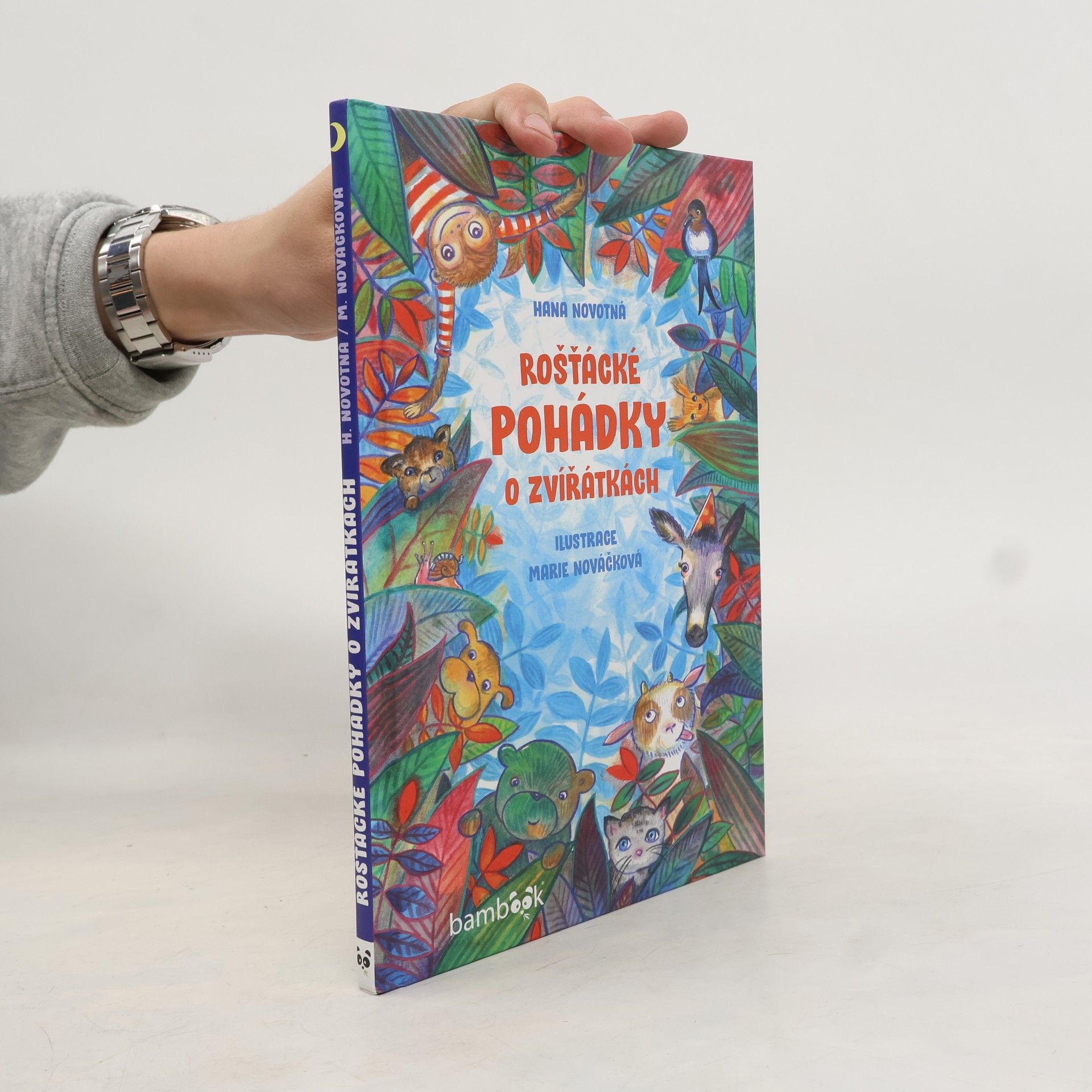 Hana Novotná Rošťácké pohádky o zvířátkách