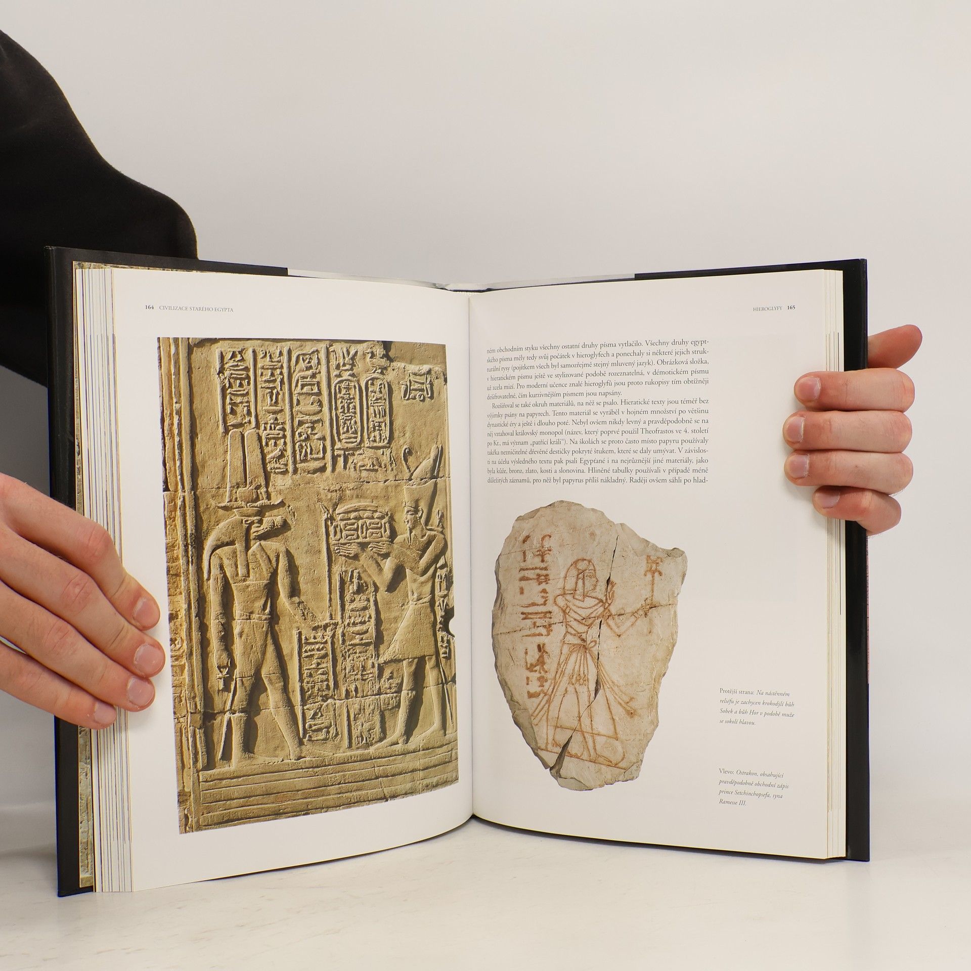 Paul Johnson Civilizace starého Egypta
