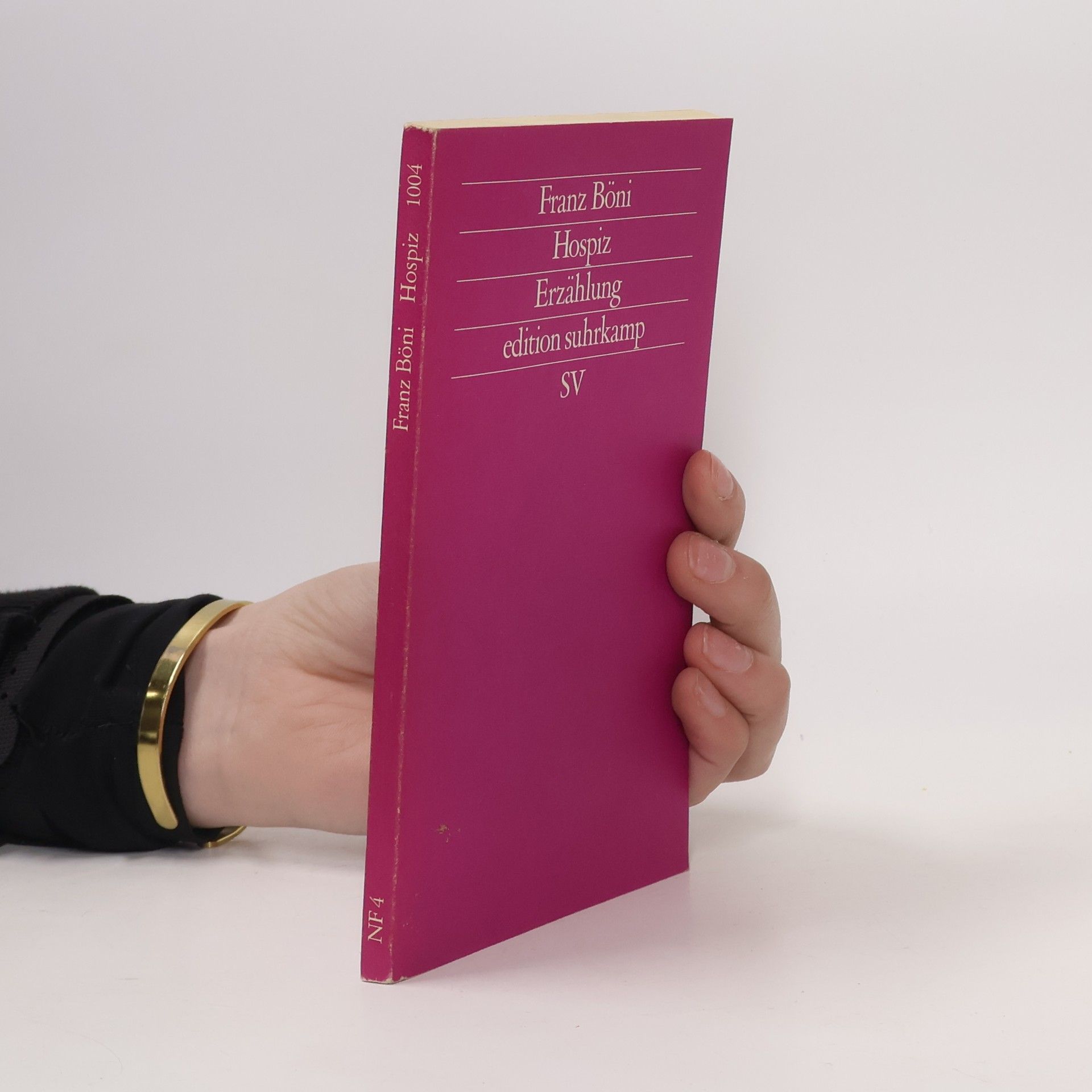 Franz Böni Hospiz Erzählung