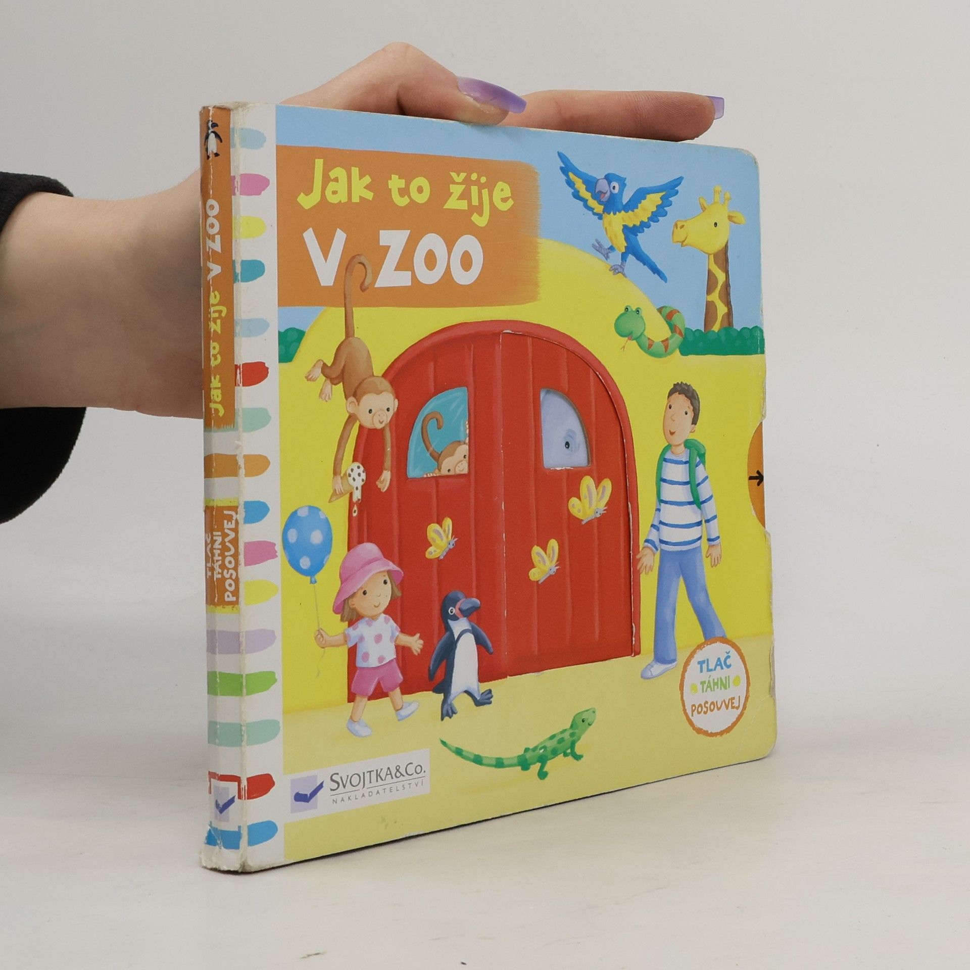 Rebecca Finn Jak to žije v zoo