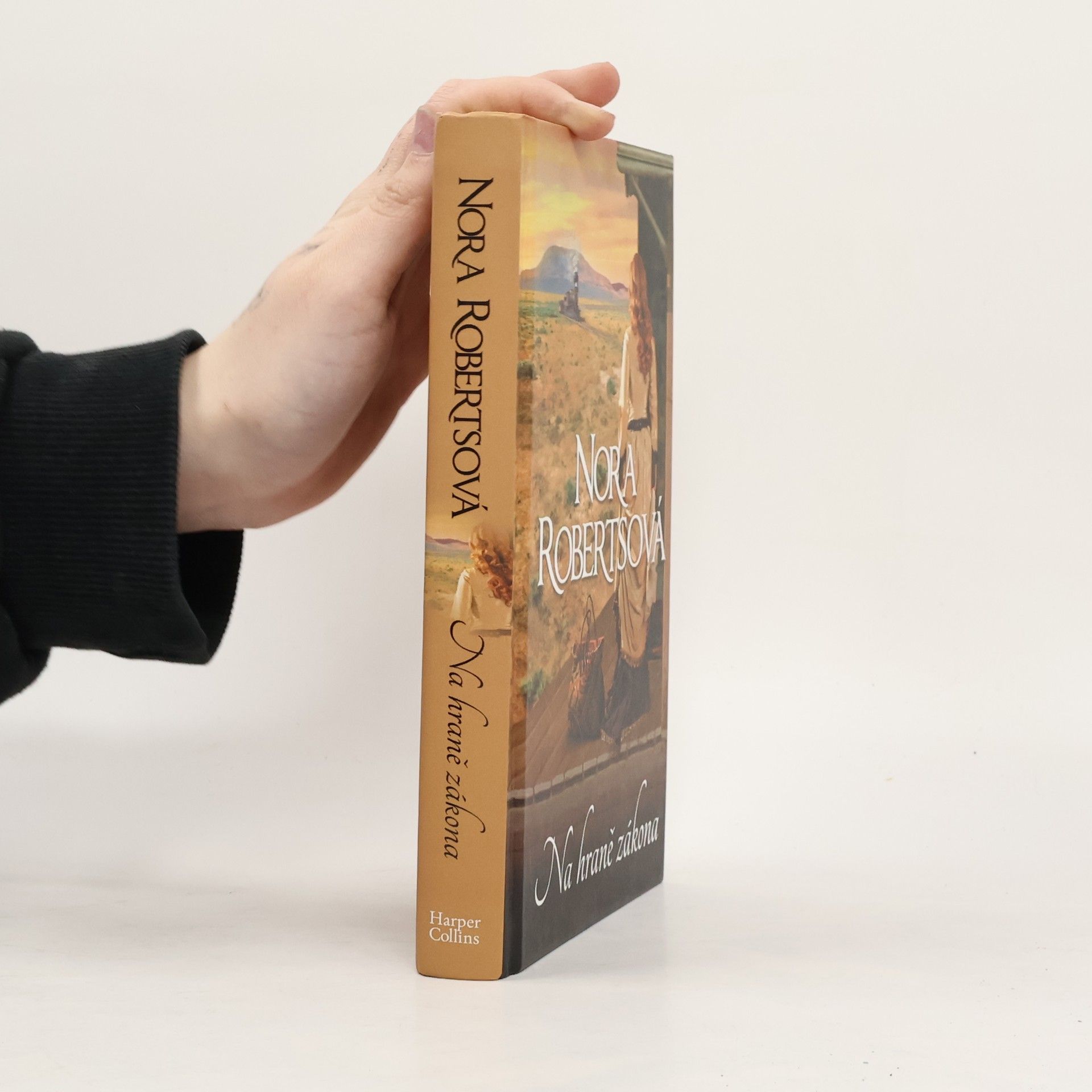 Nora Roberts Na hraně zákona