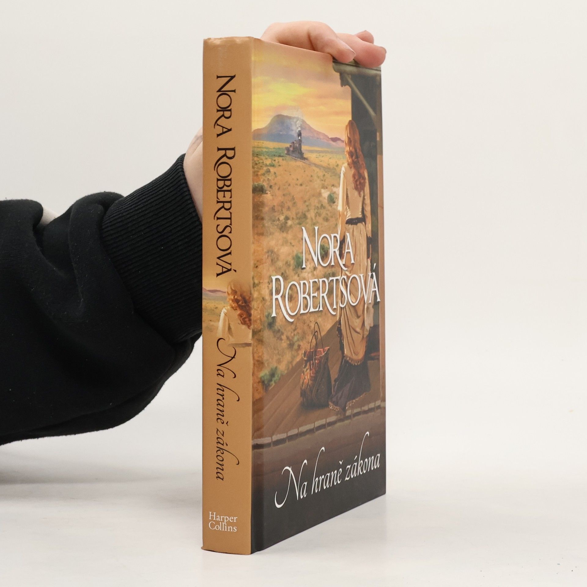 Nora Roberts Na hraně zákona