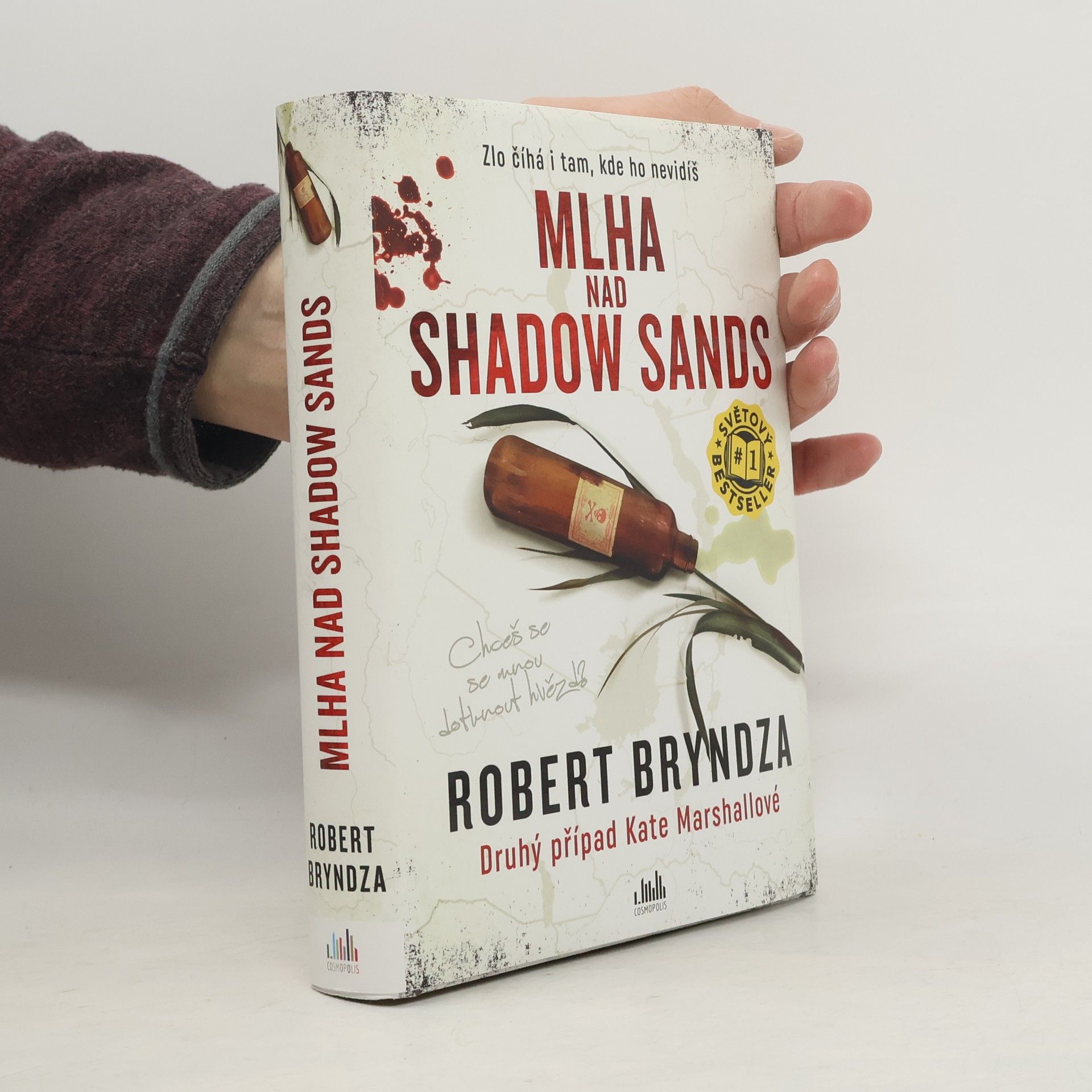 Robert Bryndza Mlha nad Shadow Sands