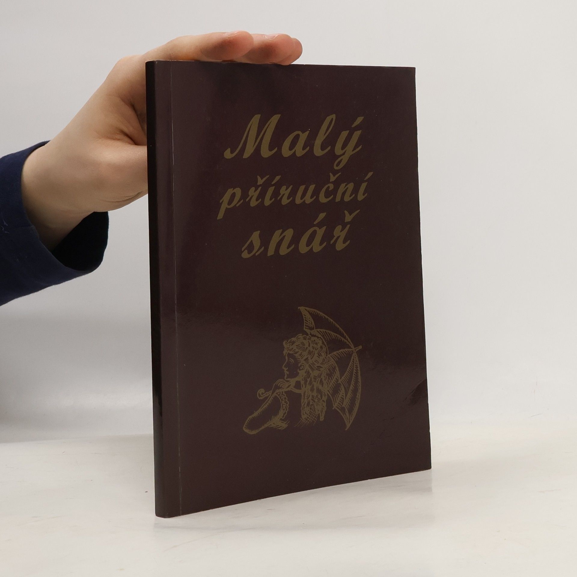 Autorenkollektiv Malý příruční snář