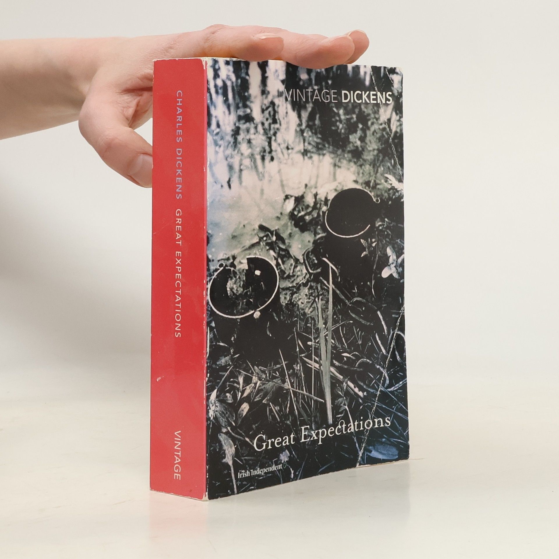 Charles Dickens Great Expectations