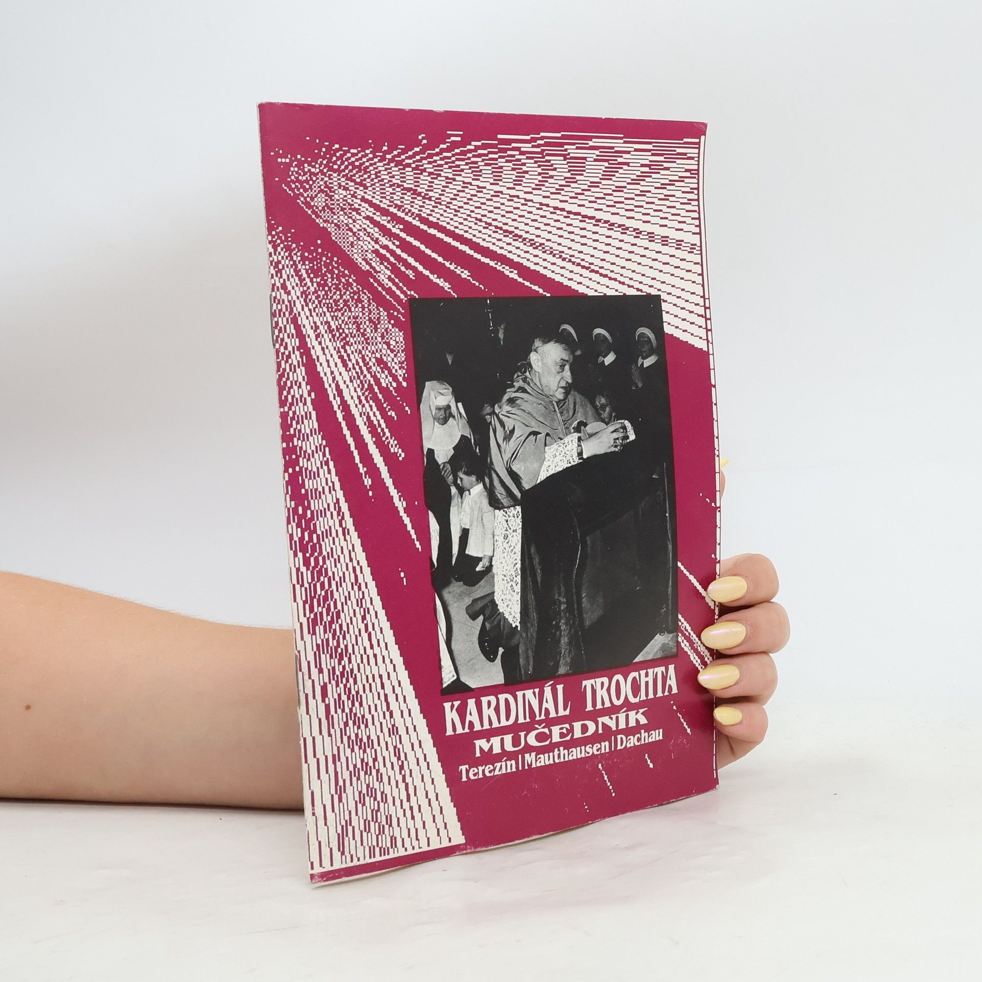 Kardinál Trochta - mučedník: Terezín, Mauthausen, Dachau