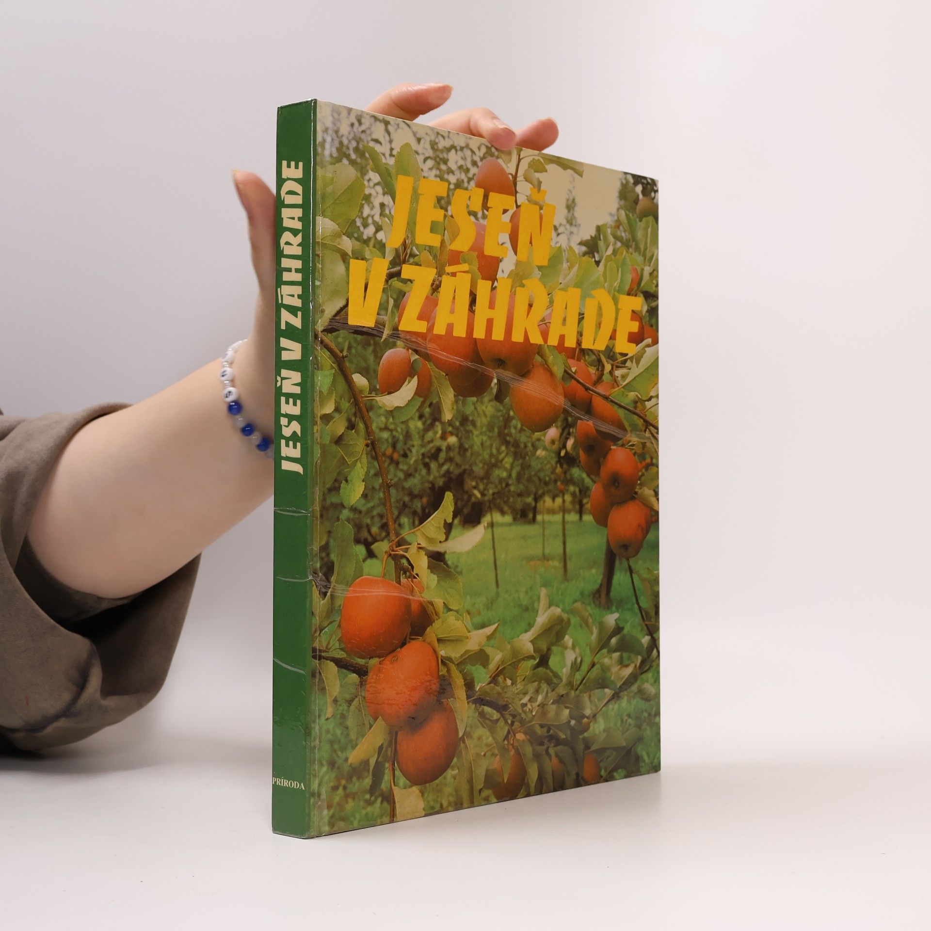 Kolektiv autorů Jeseň v záhrade