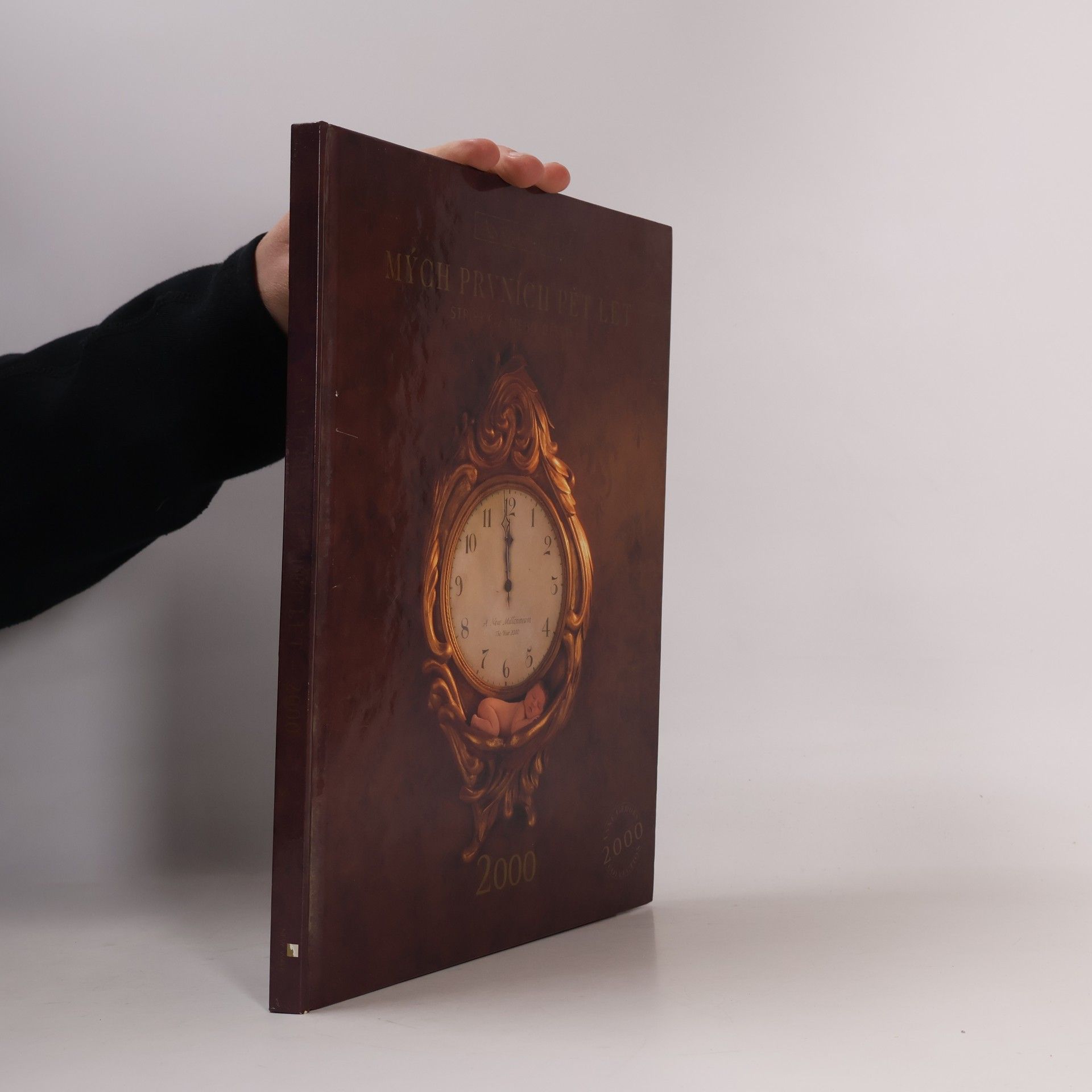 Mých prvních pět let střípky z mého dětství 2000