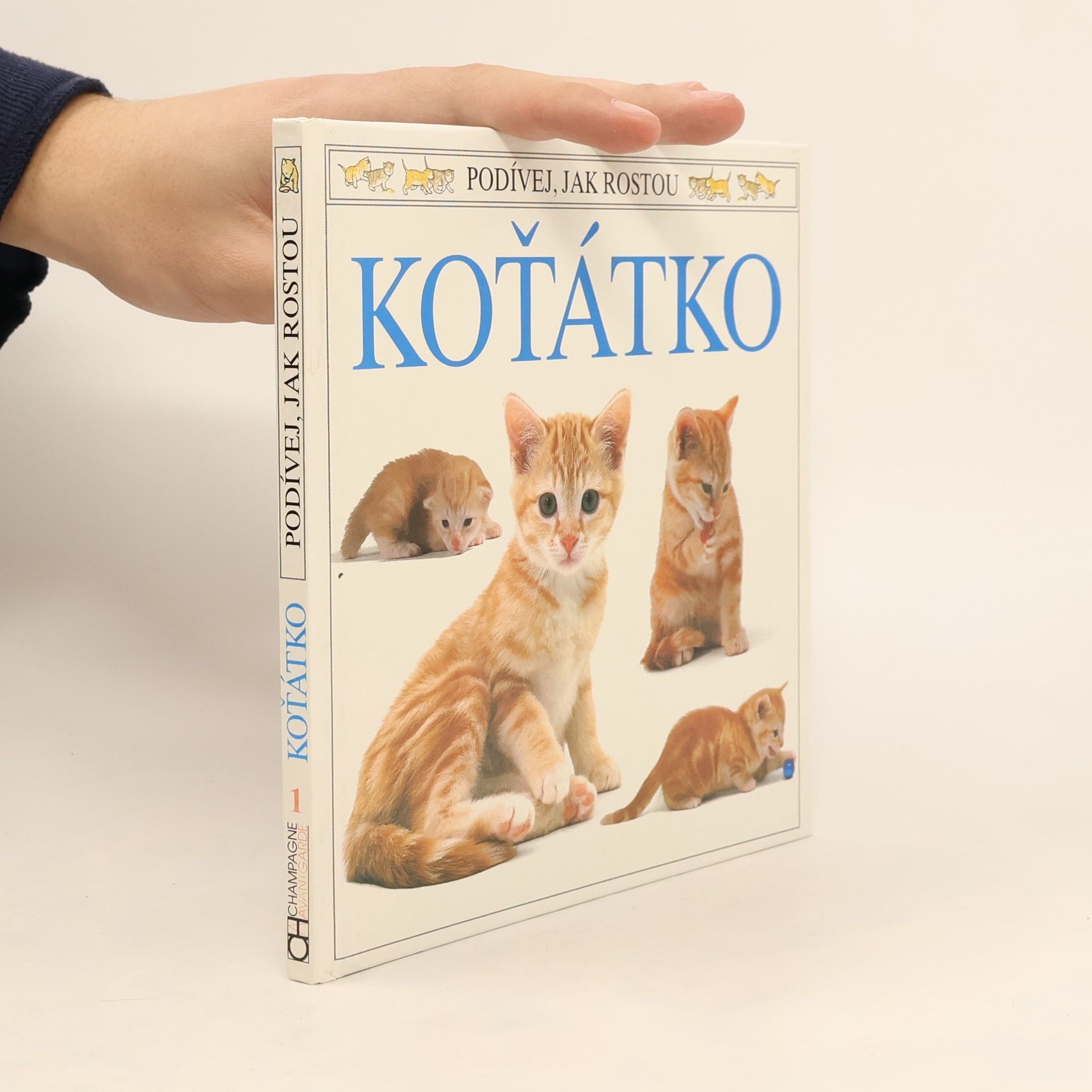 Jane Burton Koťátko