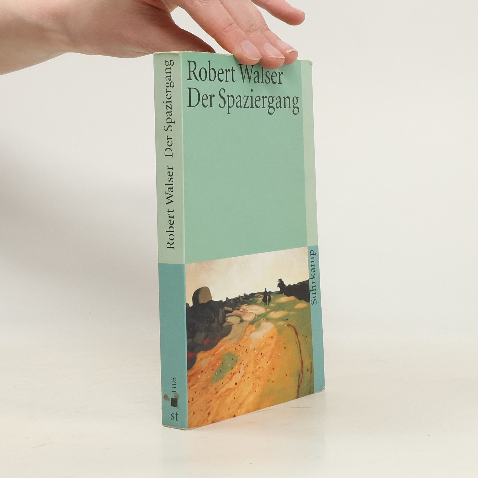 Robert Walser Der Spaziergang