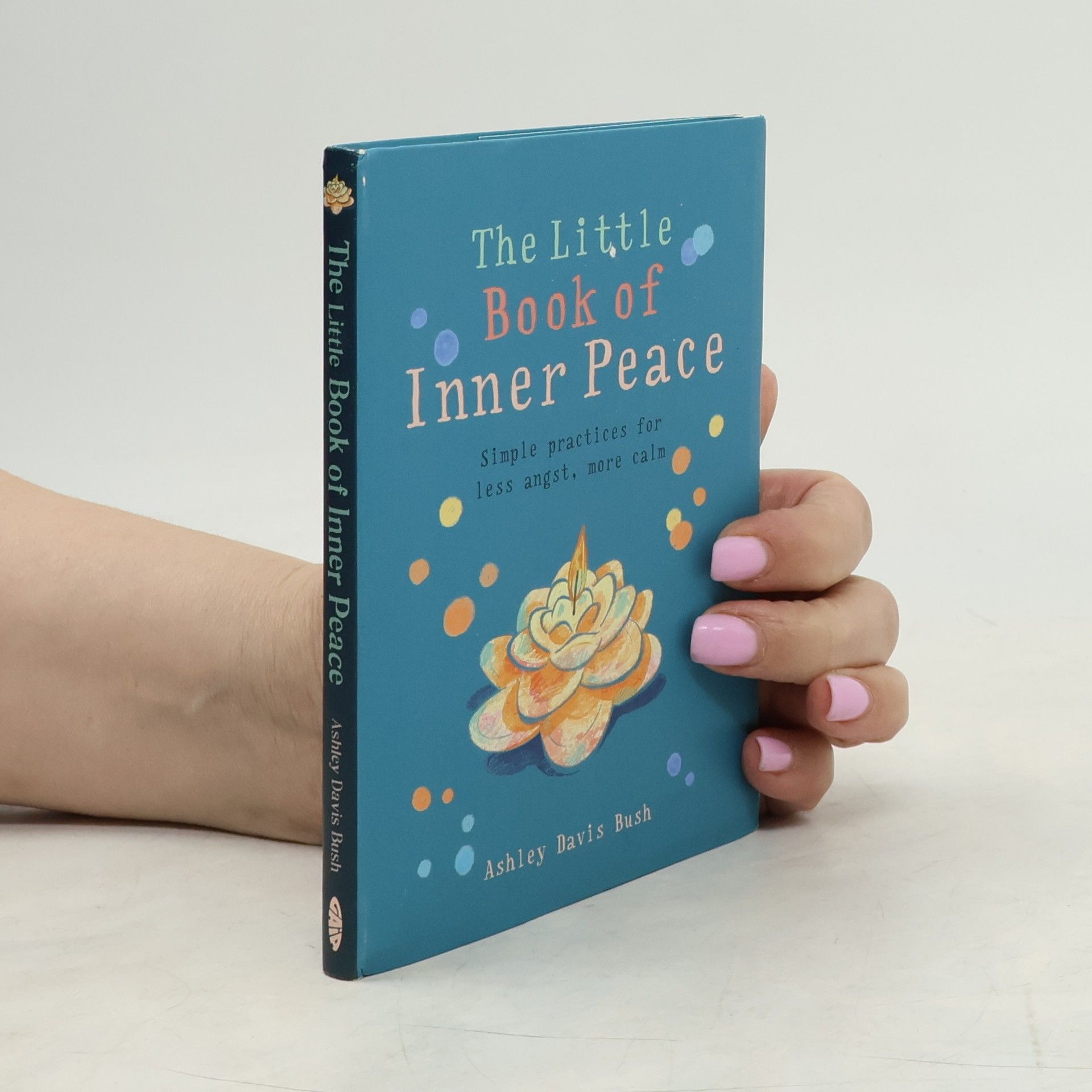 Ashley Davis Bush The little book of inner peace