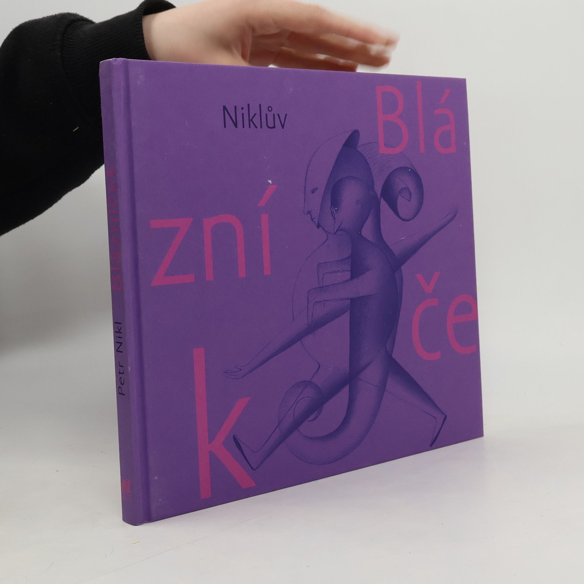 Petr Nikl Niklův Blázníček