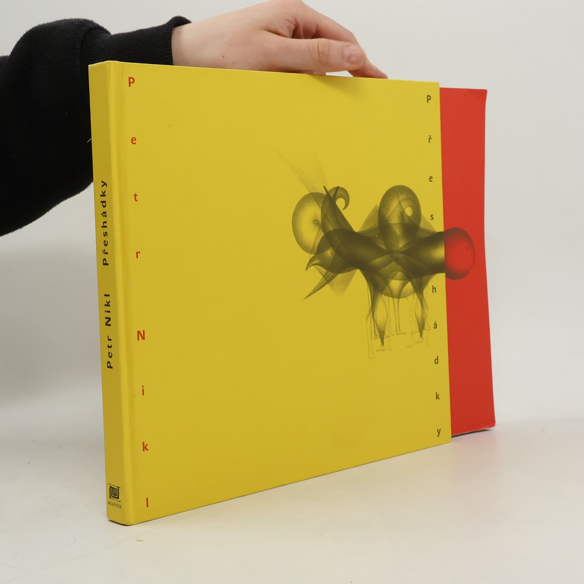 Petr Nikl Přeshádky