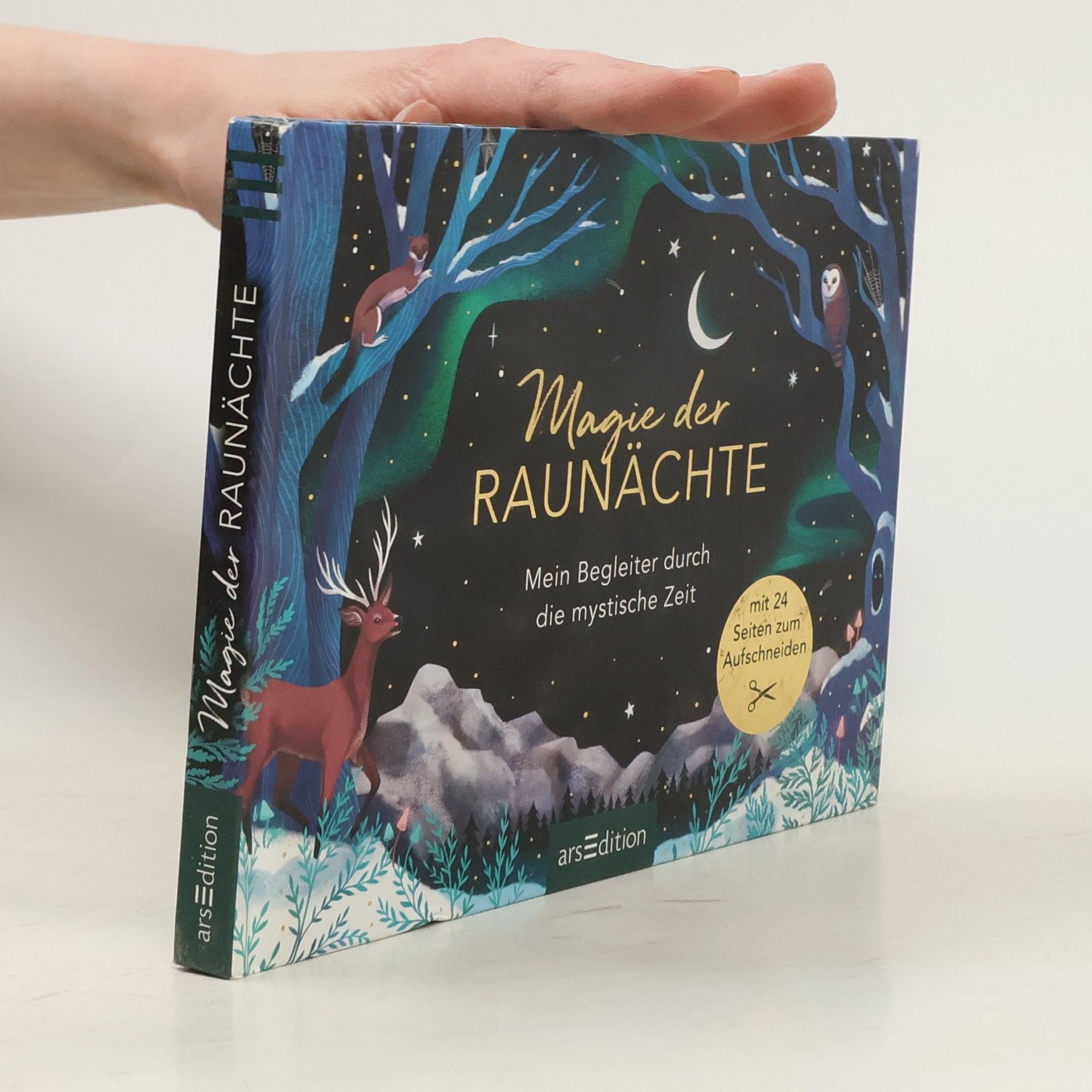 Petra Braun Magie der Raunächte. Mein Begleiter durch die mystische Zeit