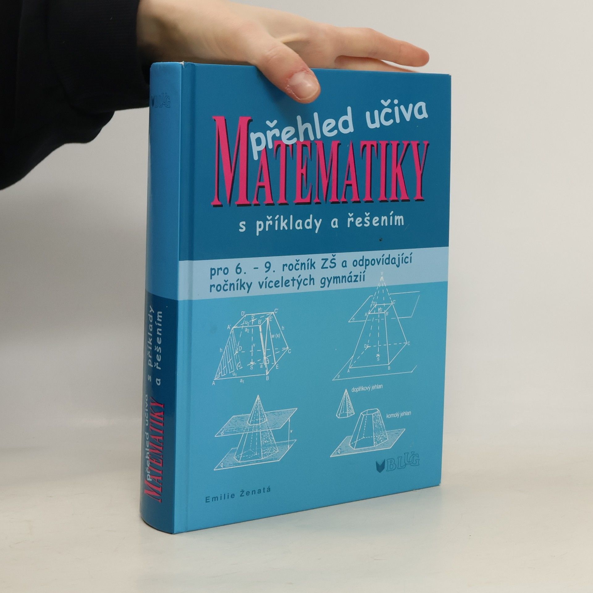 Přehled učiva matematiky: Pro 6. - 9. ročník ZŠ a víceletá gymnázia, s příklady a řešením
