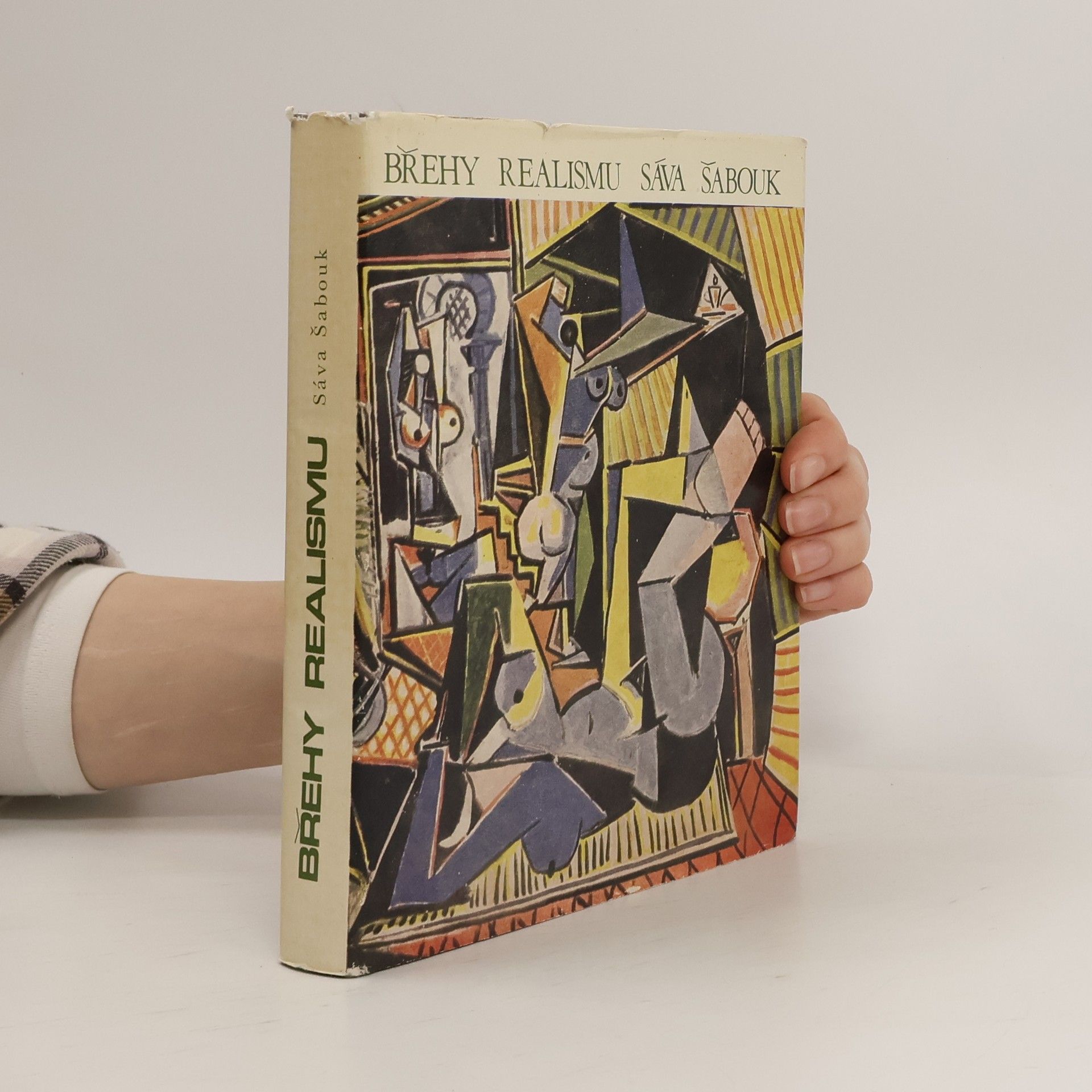 Sáva Šabouk Břehy realismu