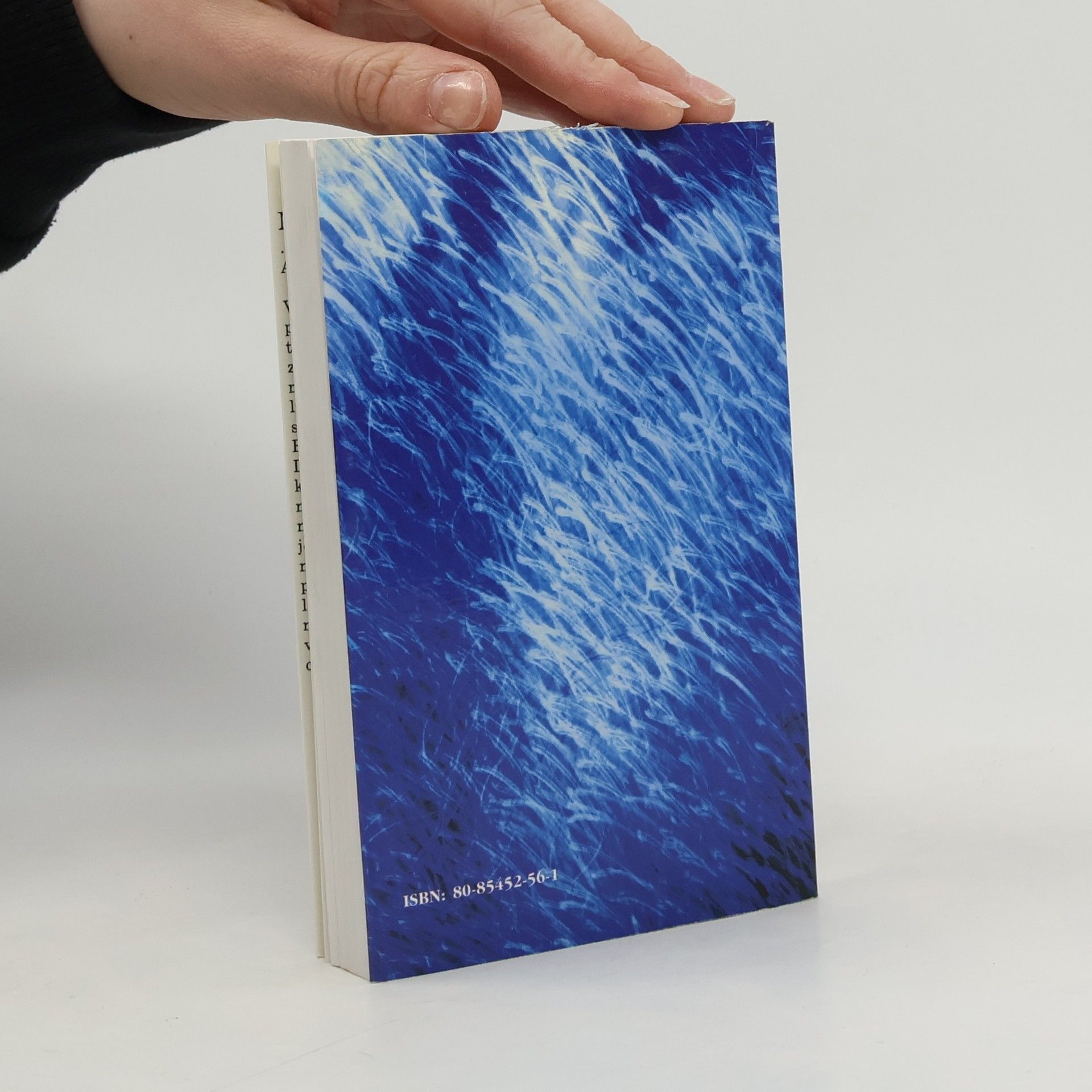 Various authors Nahý anjel (... alebo NAHLAS) : antológia beatnickej poézie