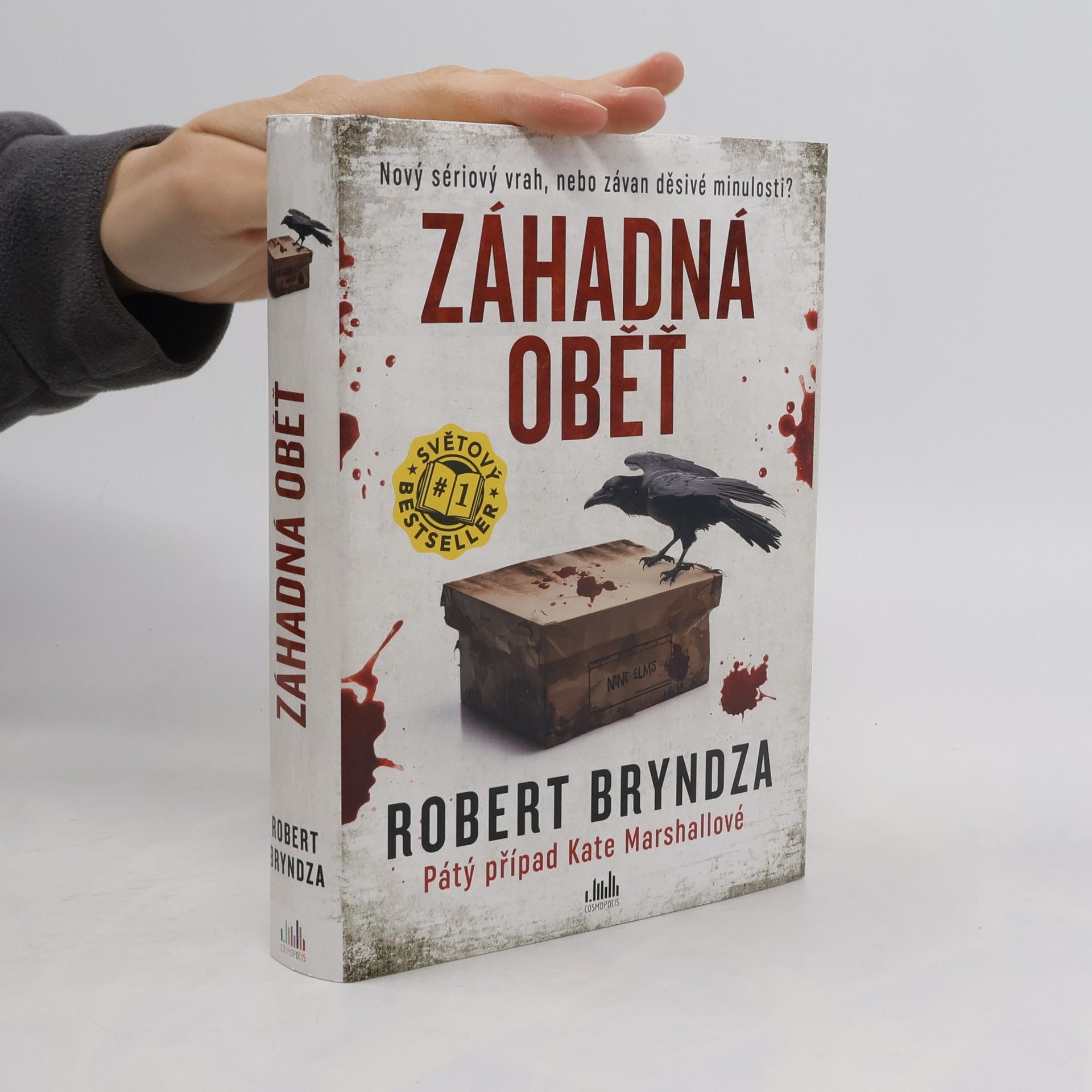 Robert Bryndza Záhadná oběť