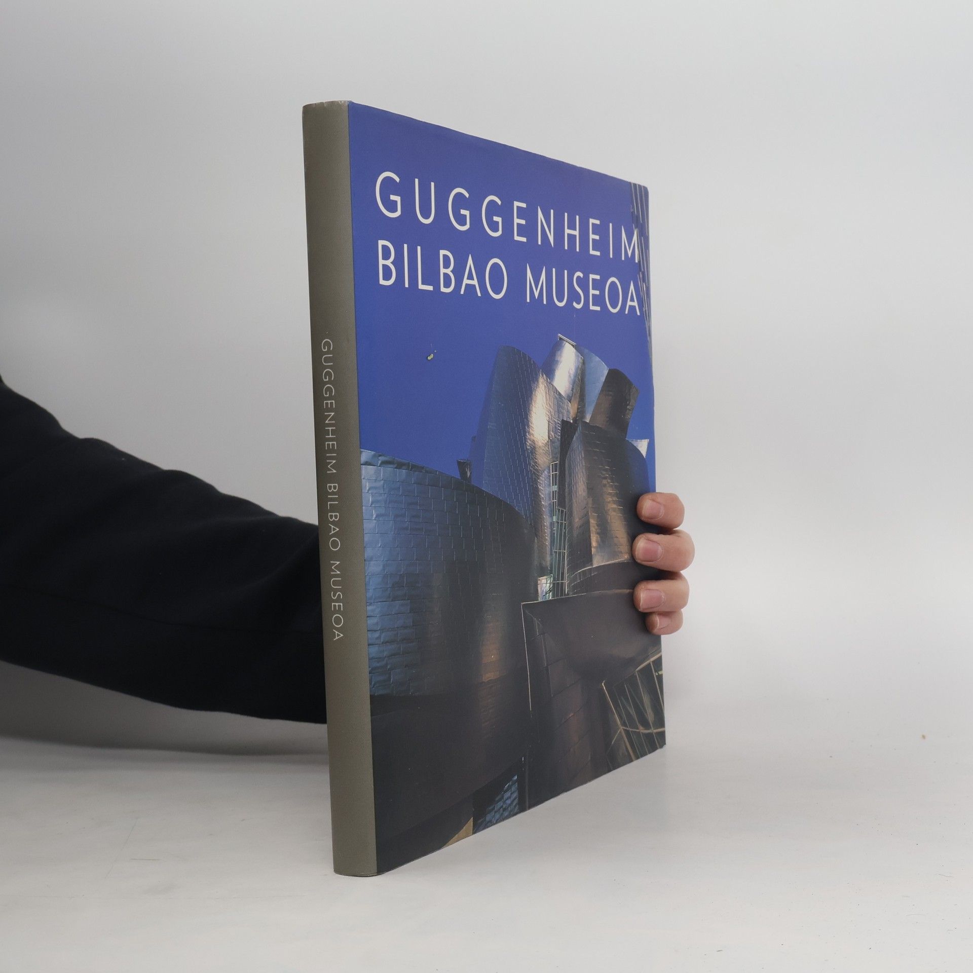 AA.VV. Guggenheim Bilbao Museoa