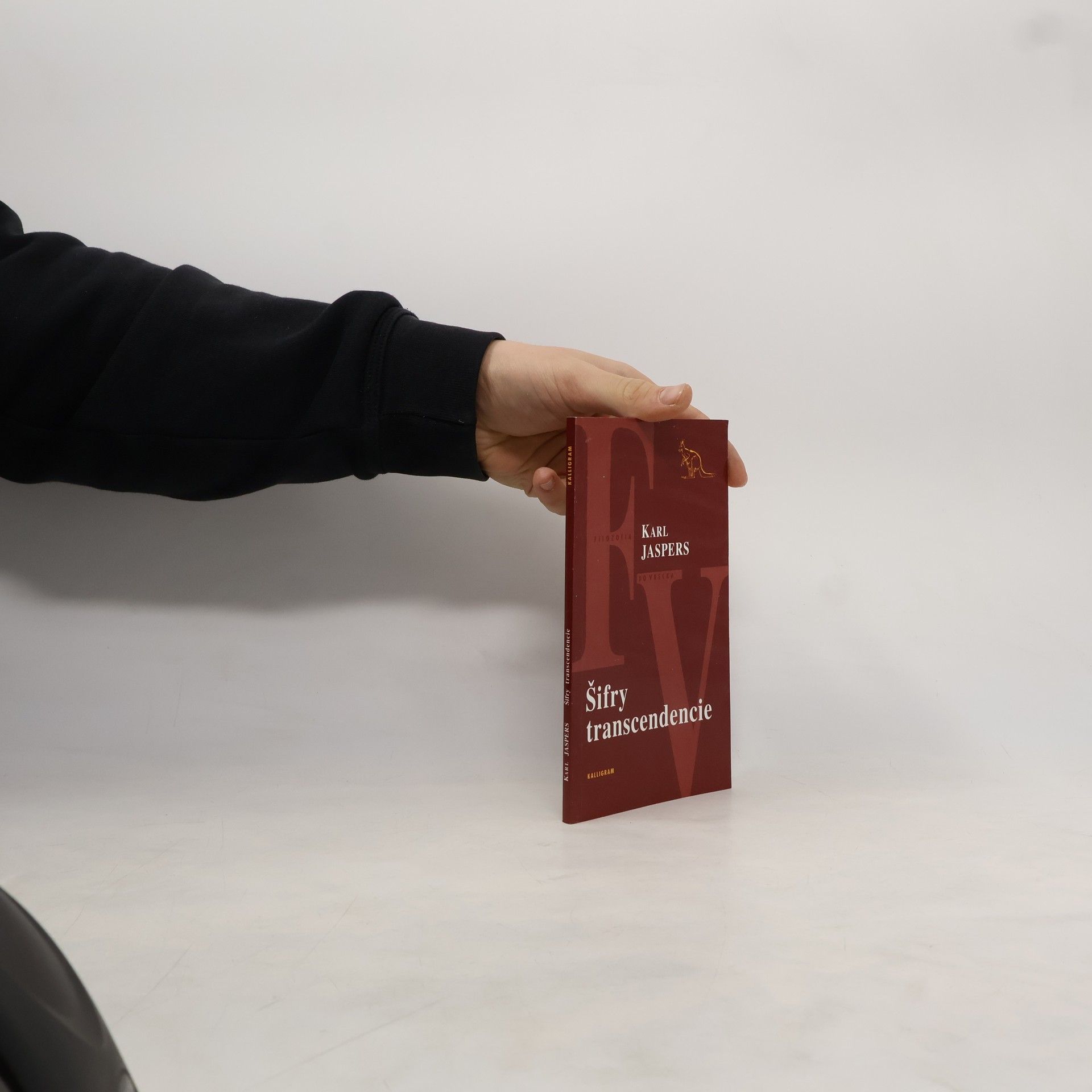 Karl Jaspers Šifry transcendencie
