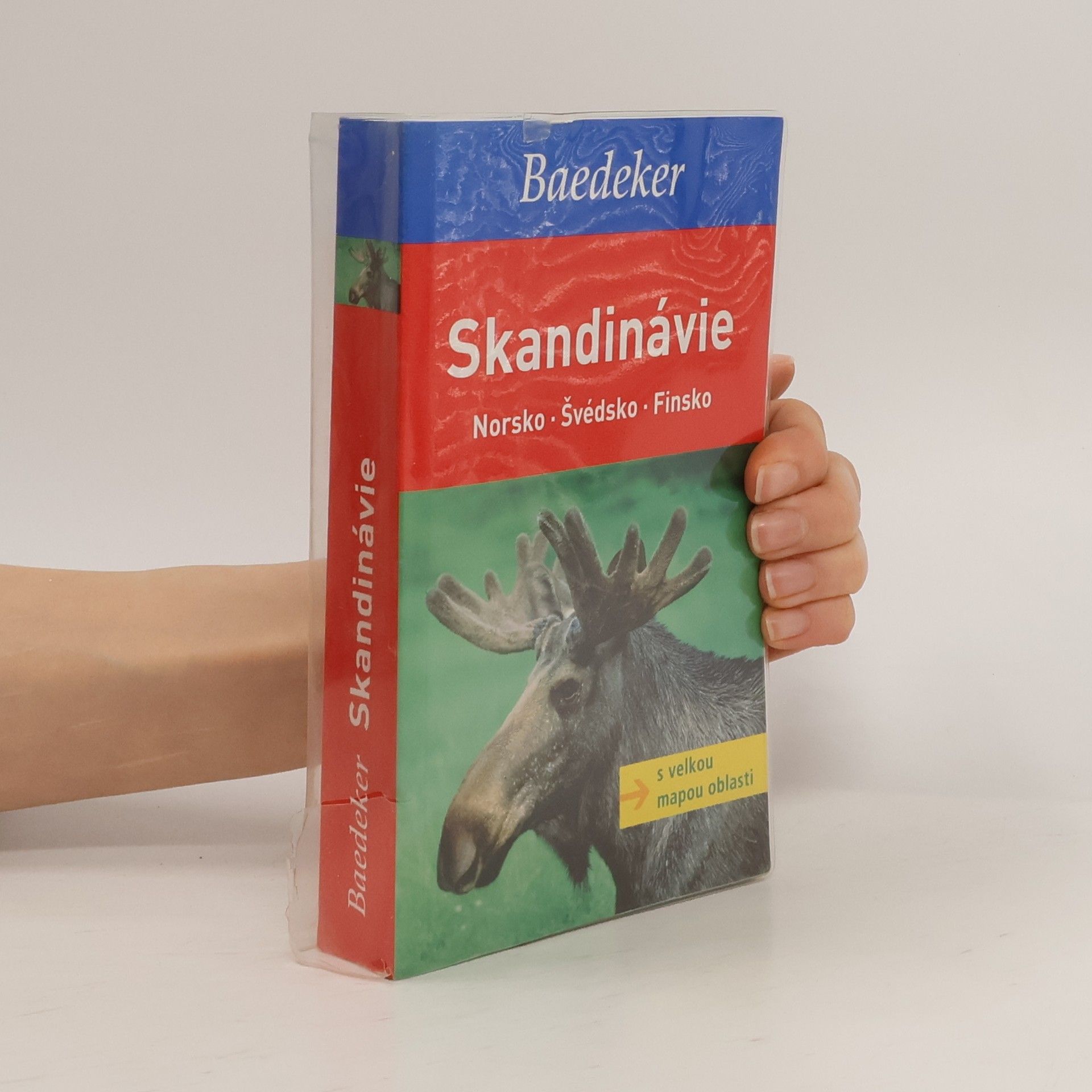 Kolektiv autorů Skandinávie