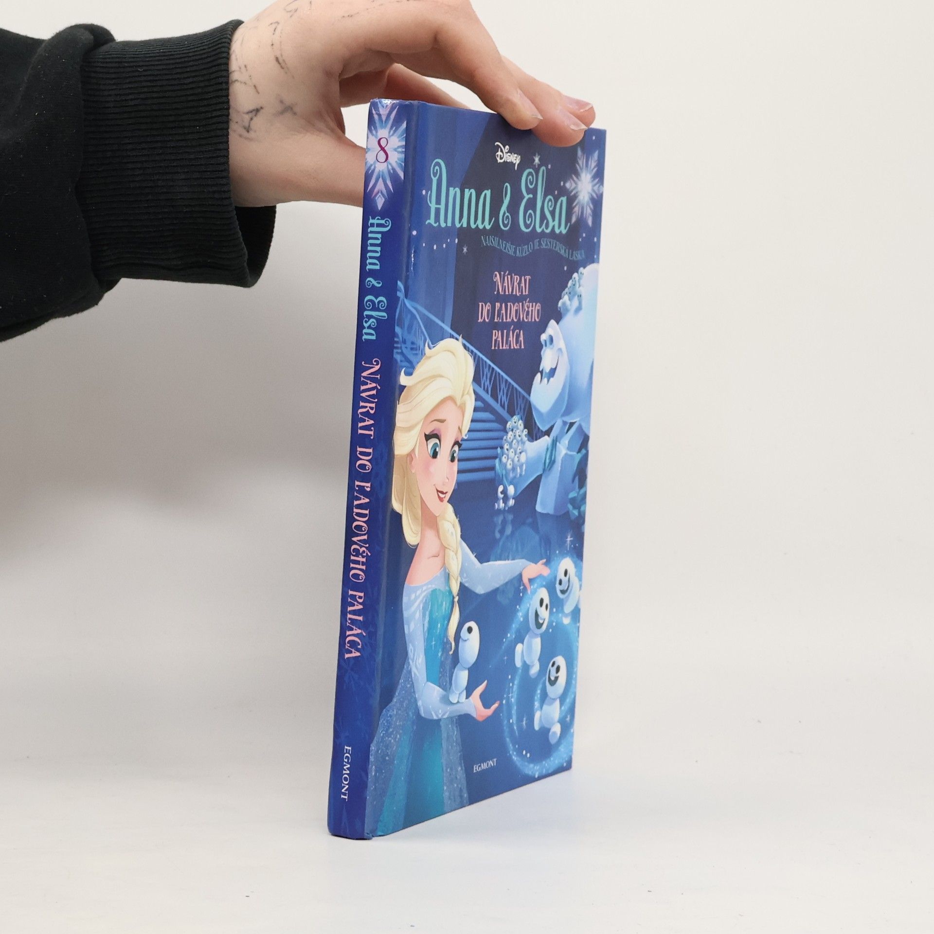 Erica David Návrat do Ľadového paláca