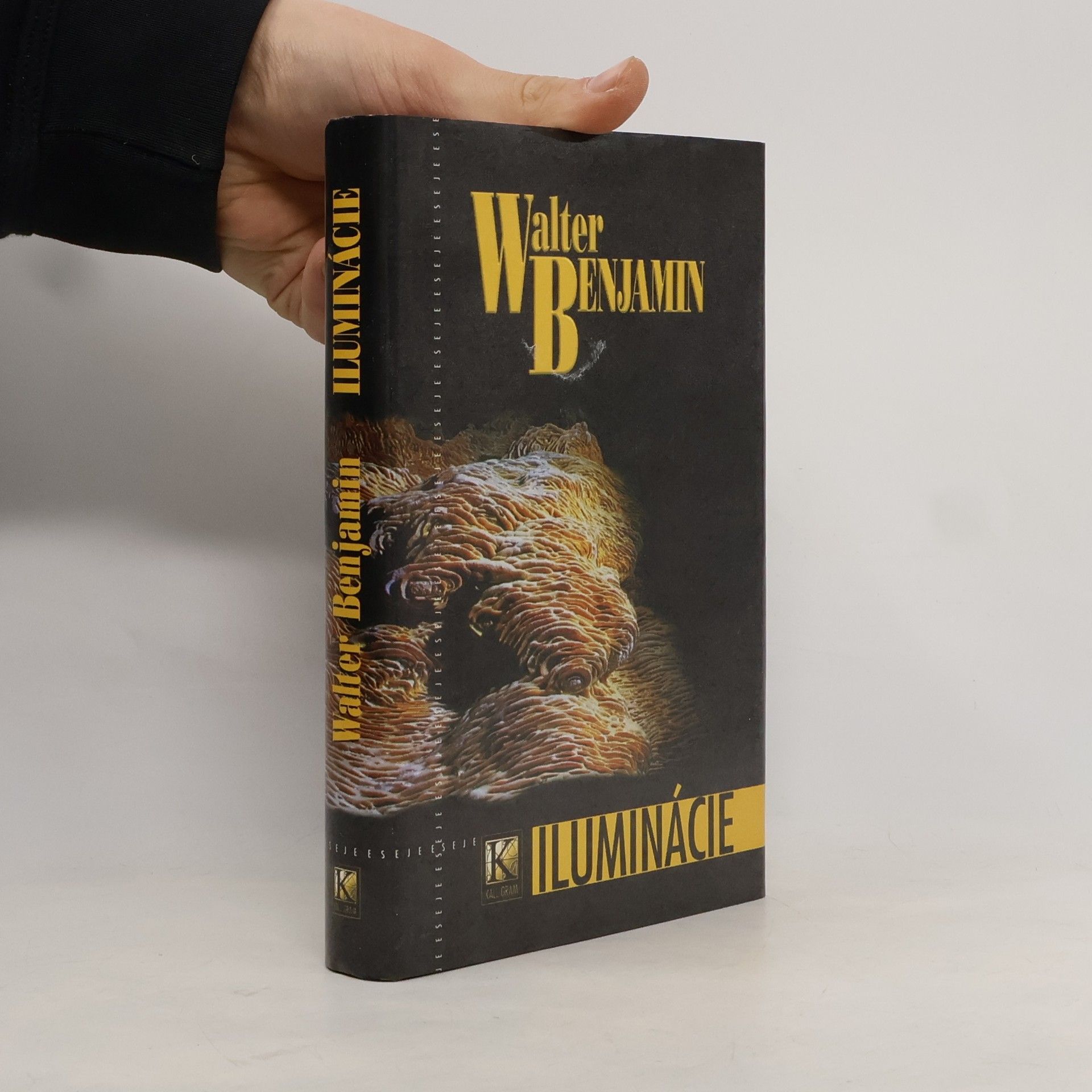 Walter Benjamin Iluminácie