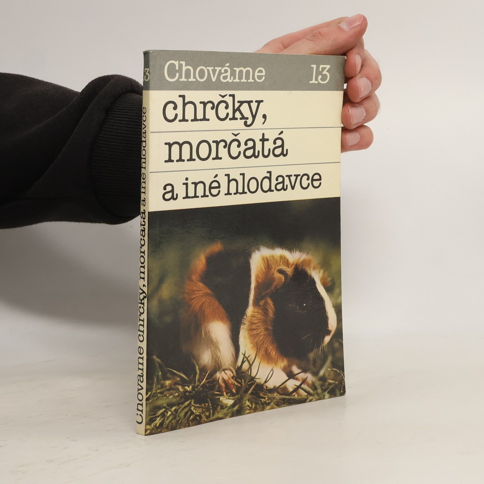 Bystrík Ambruš Chováme chrčky, morčatá a iné hlodavce 13