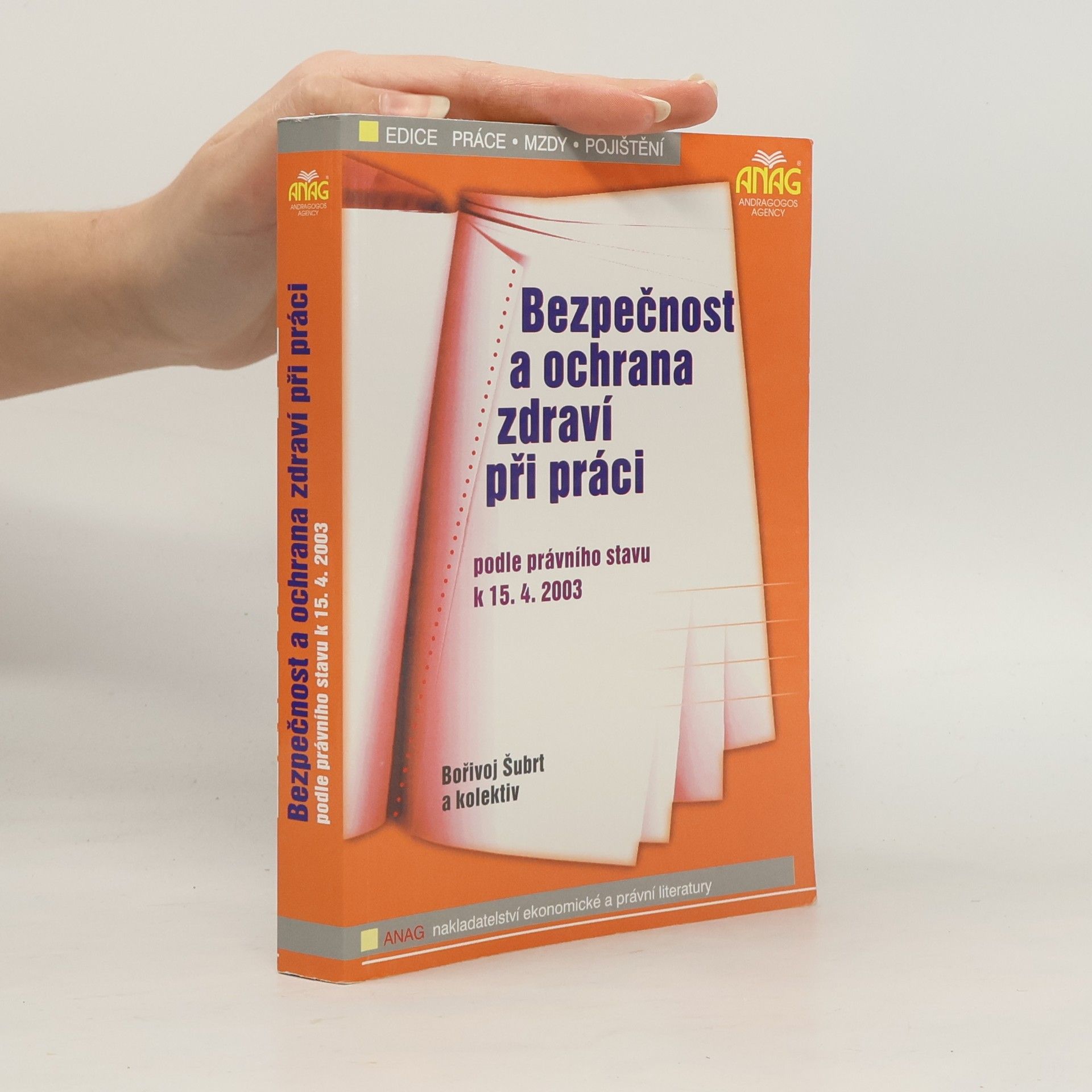 Bořivoj Šubrt Bezpečnost a ochrana zdraví při práci