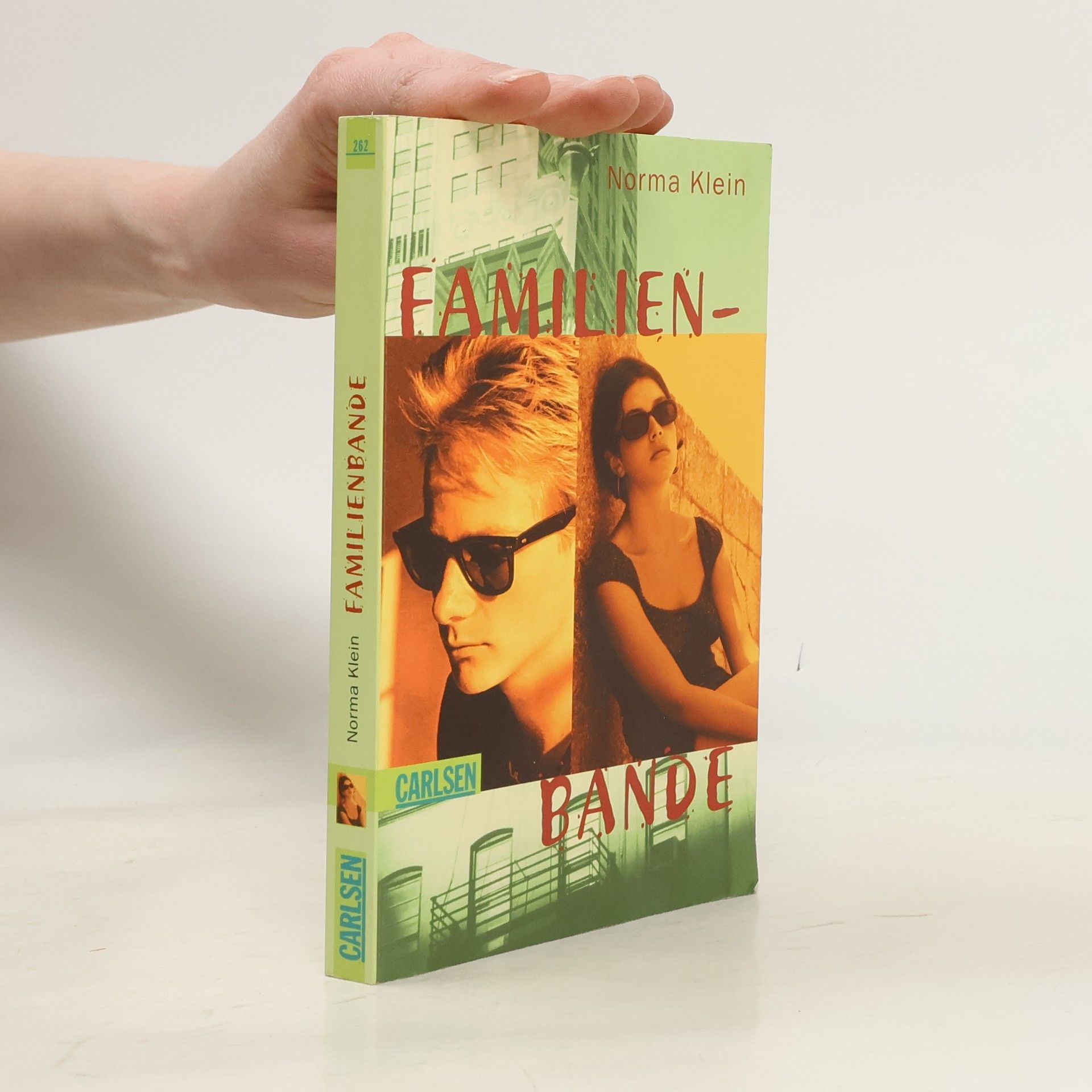 Norma Klein Familienbande