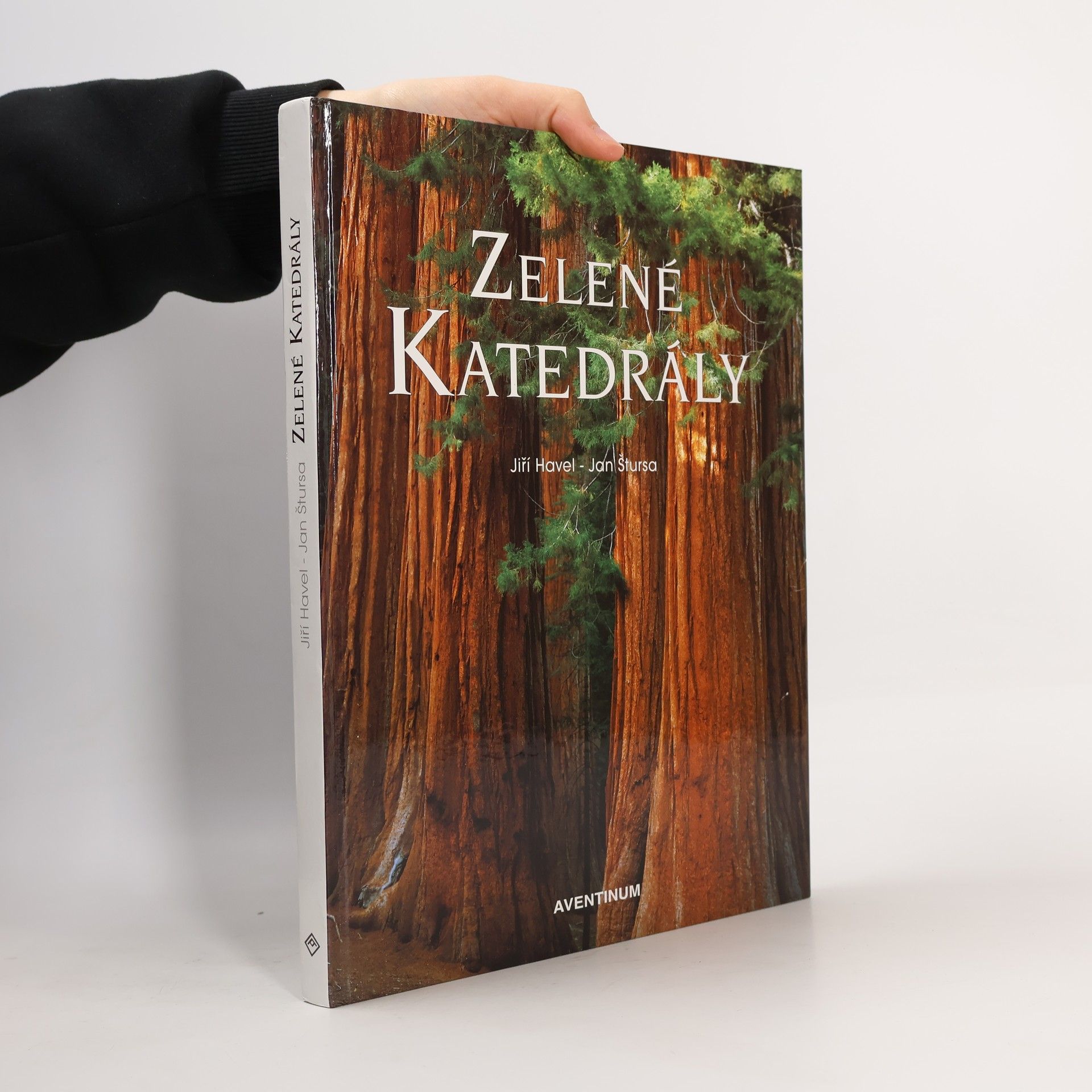 Jiří Havel Zelené katedrály