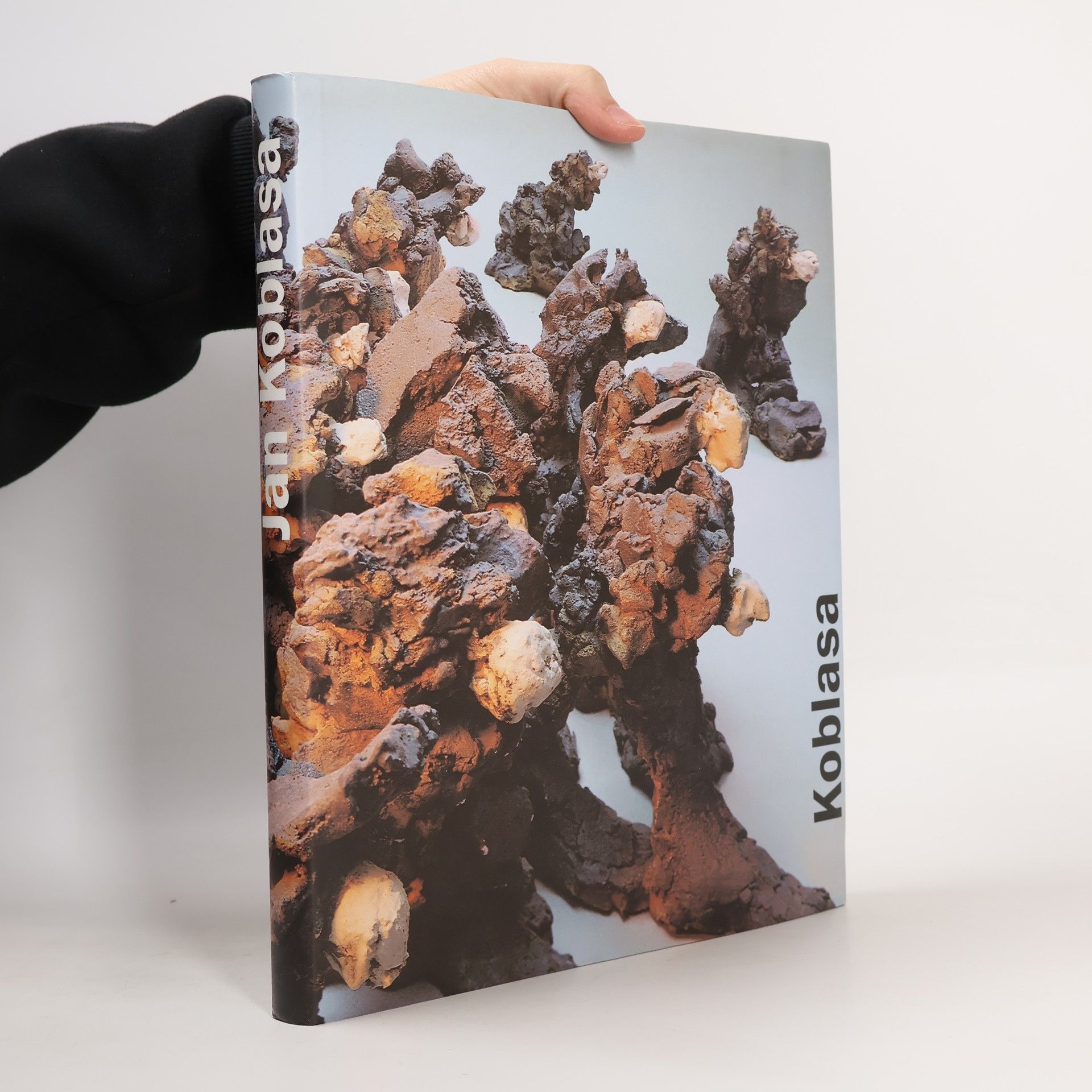 Jan Koblasa Jan Koblasa