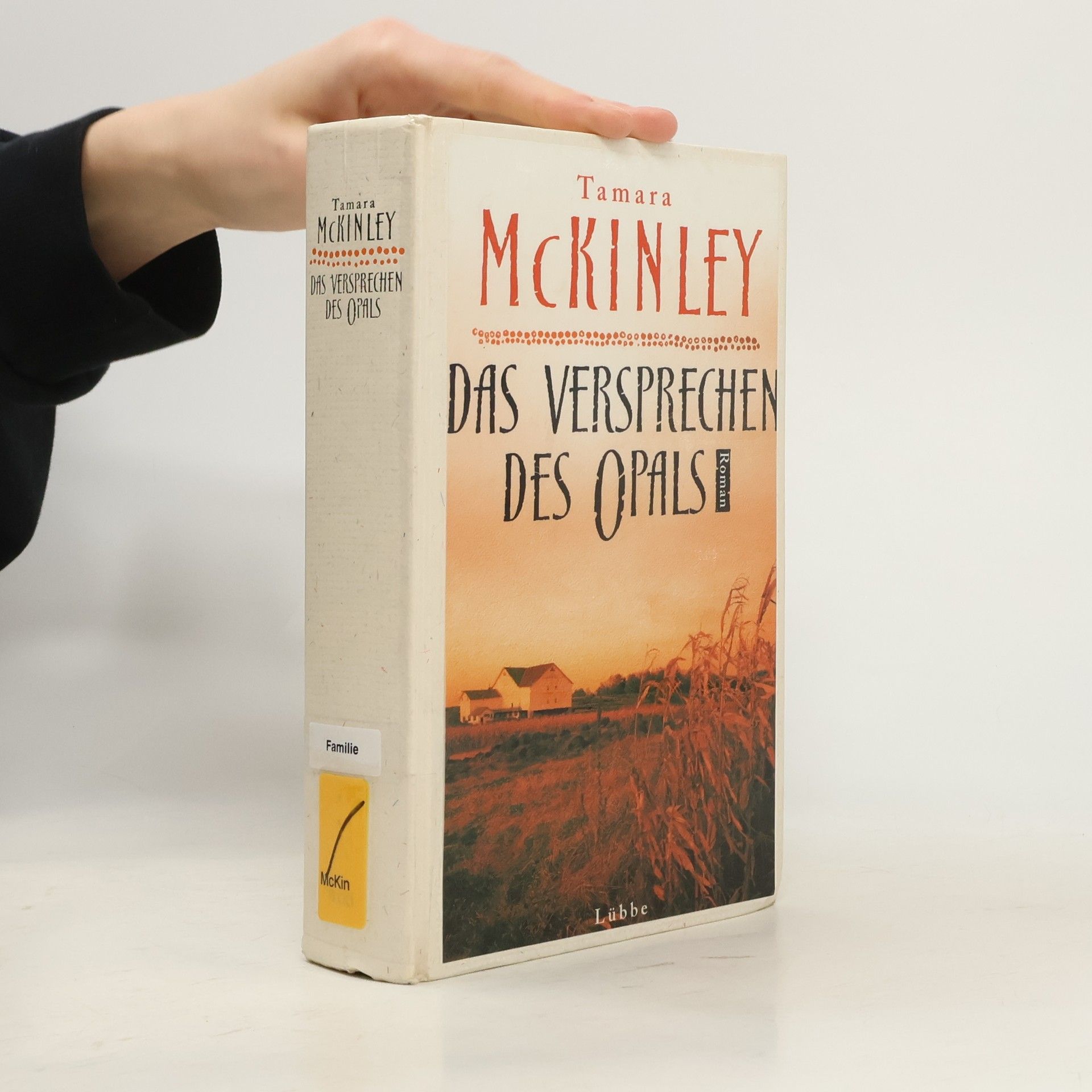 Tamara McKinley Das Versprechen des Opals