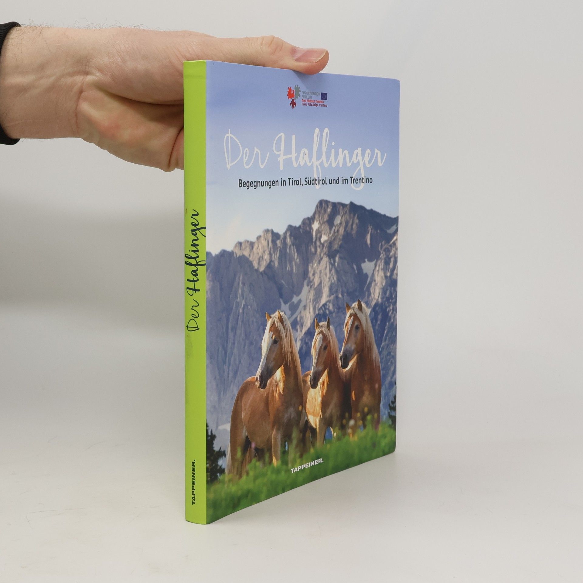 Autorenkollektiv Der Haflinger