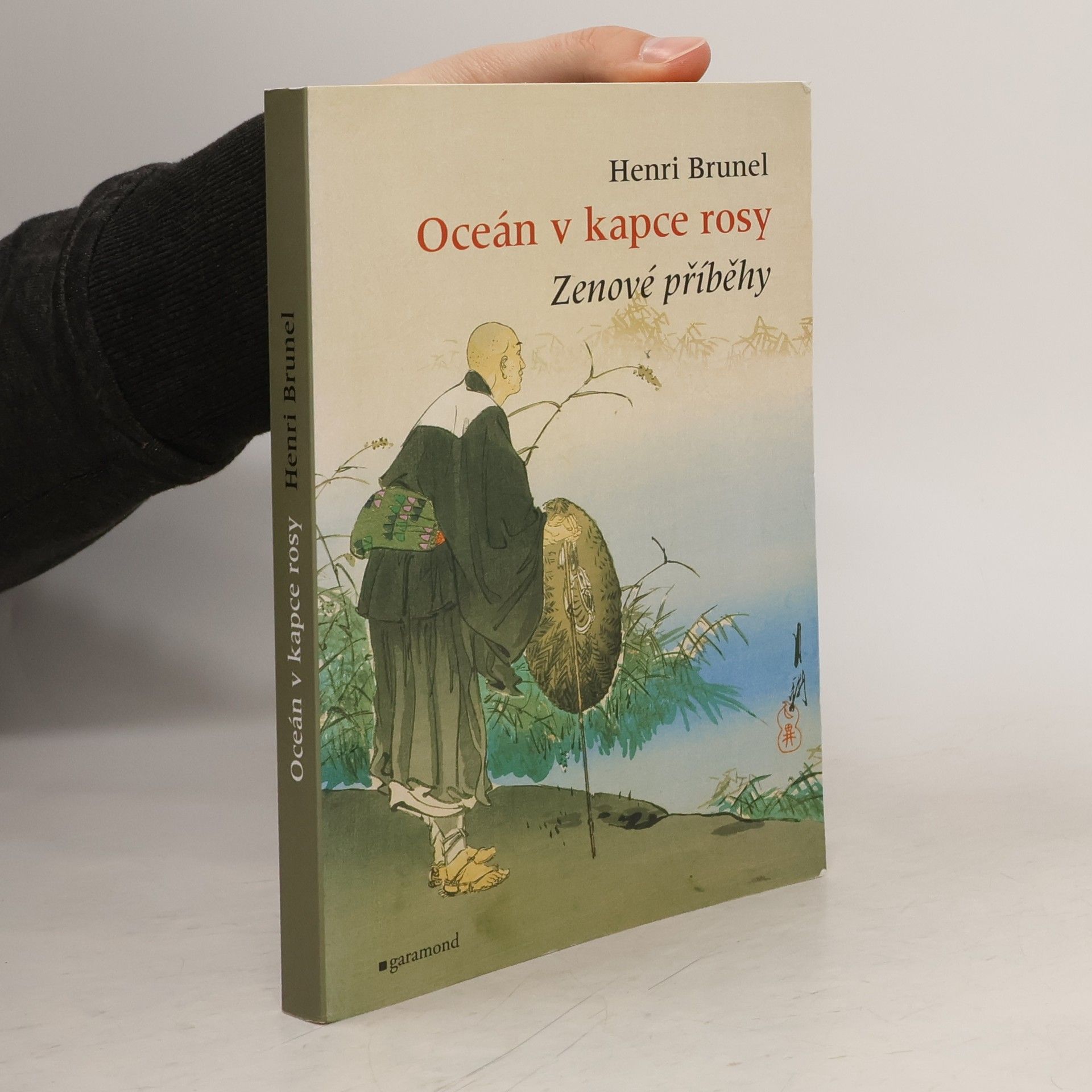 Henri Brunel Oceán v kapce rosy