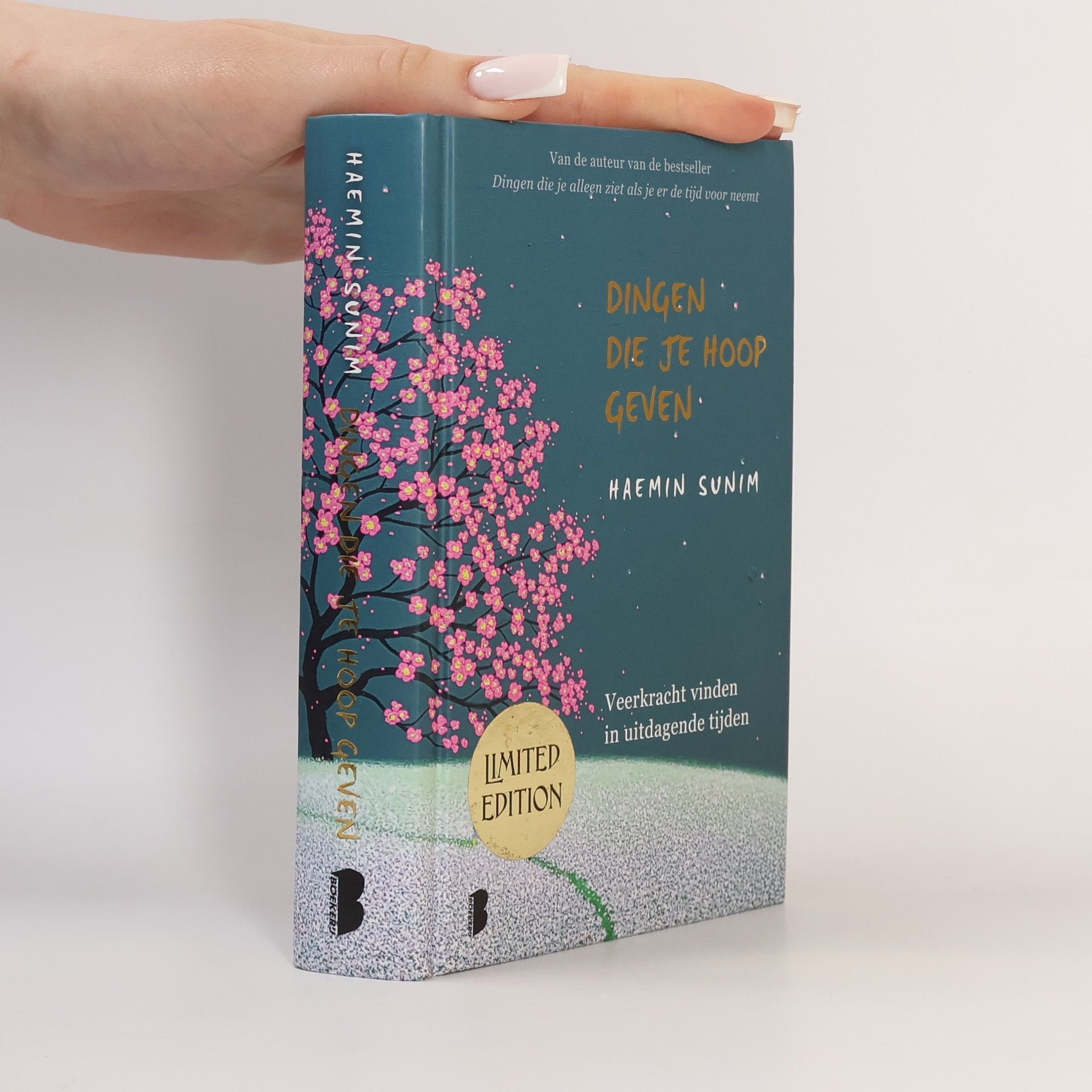 Sunim Haemin Dingen die je hoop geven